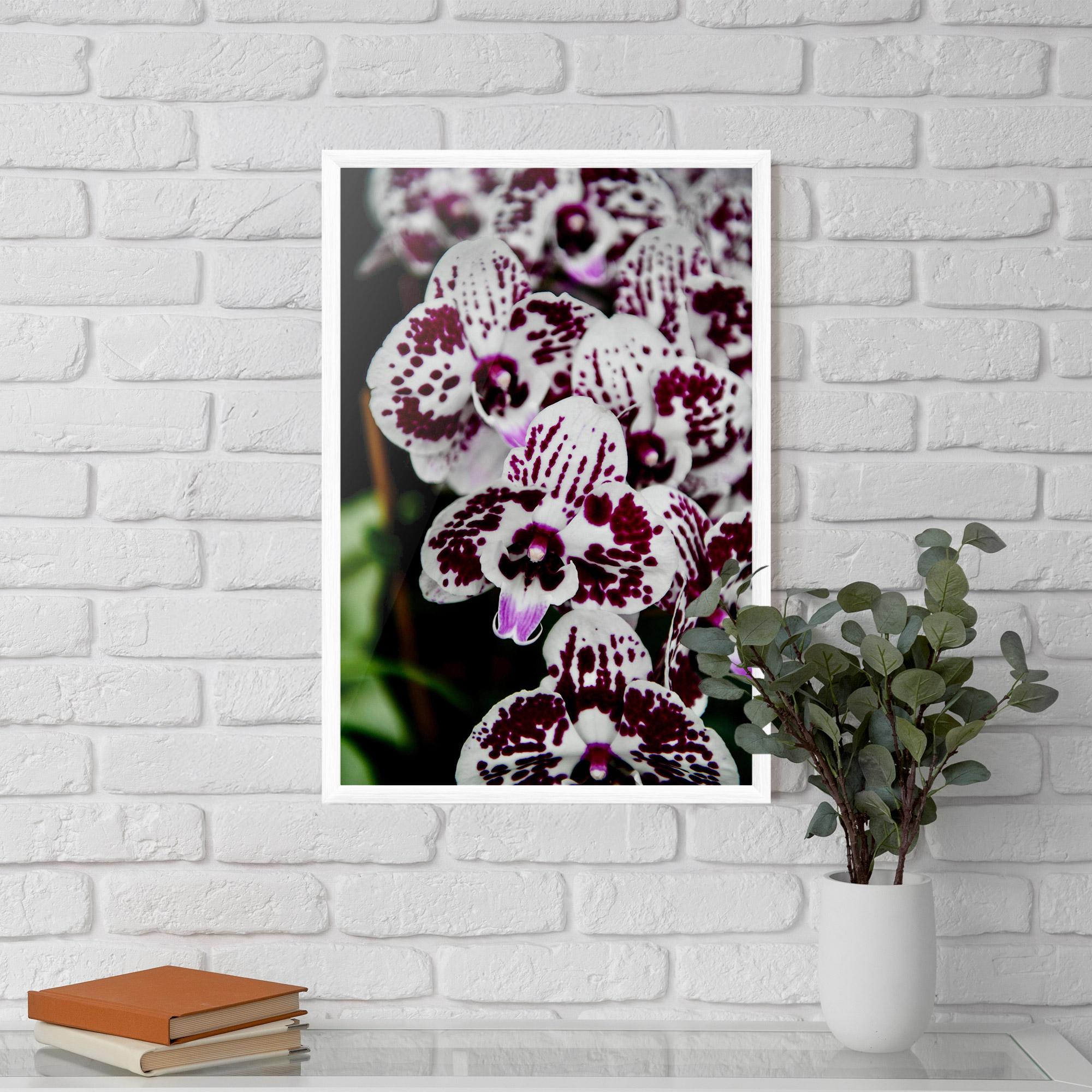Poster Înrămat Dark Purple Orchids mockup 5