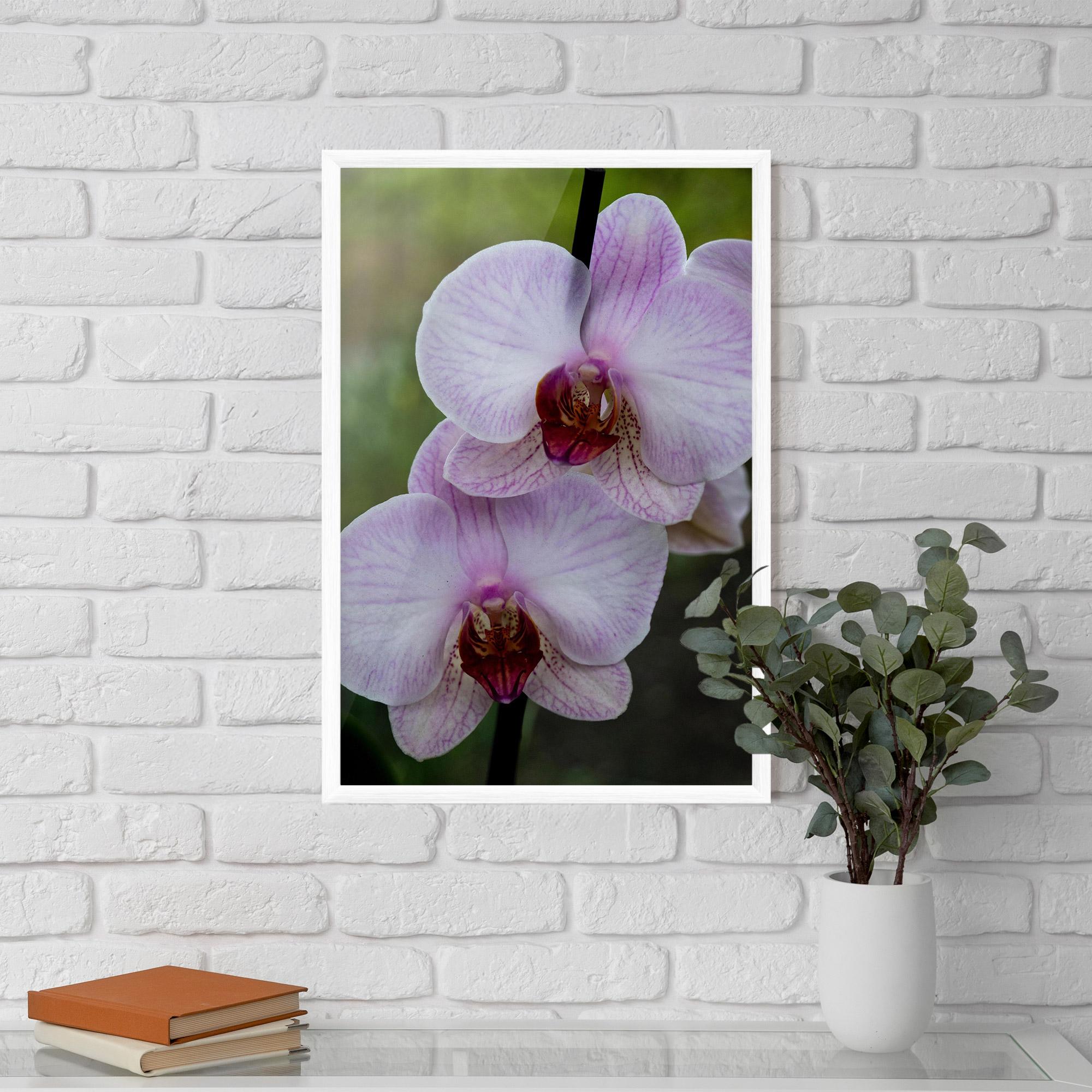 Poster Înrămat Garden Light Purple Orchid mockup 5