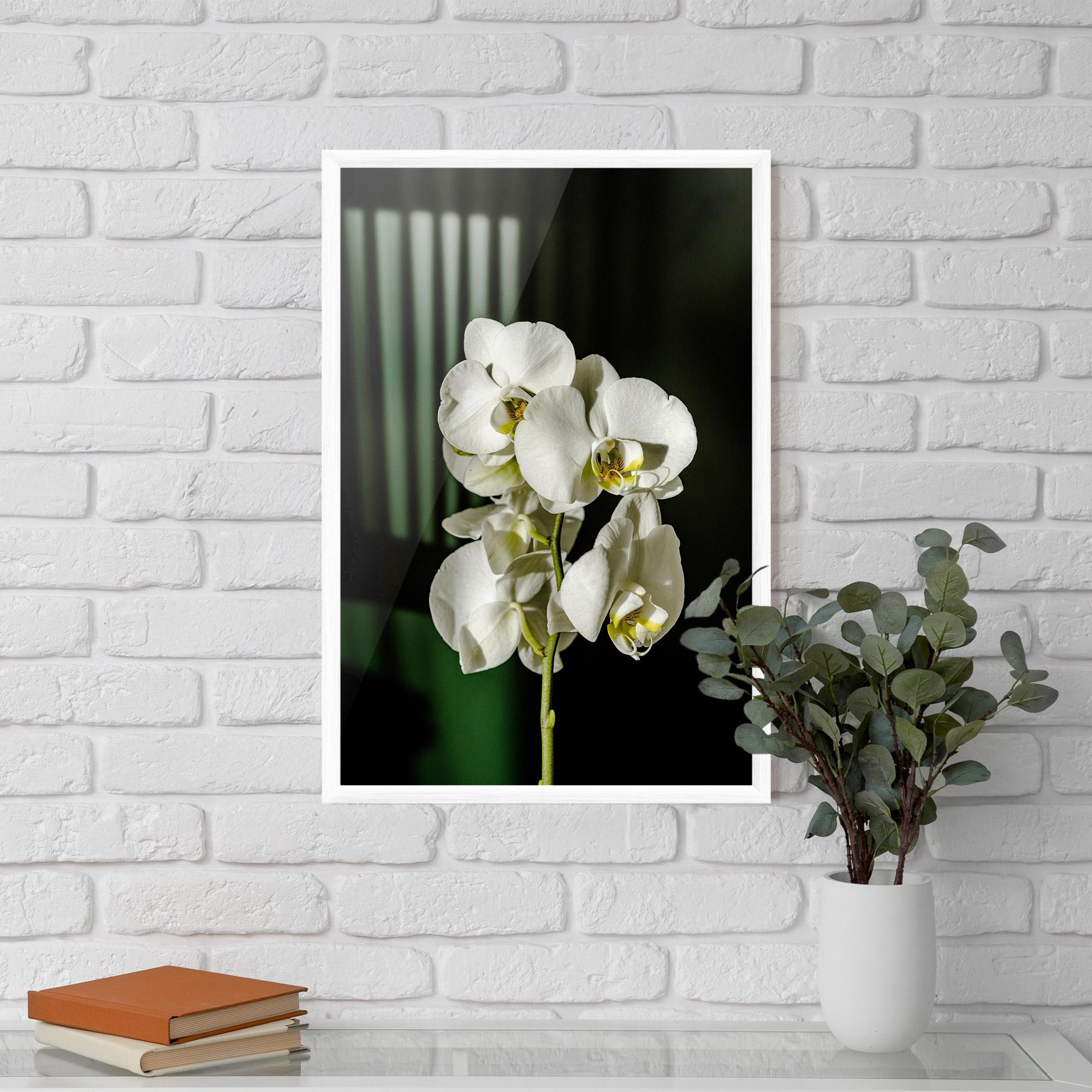 Poster Înrămat Orchid On Green mockup 5