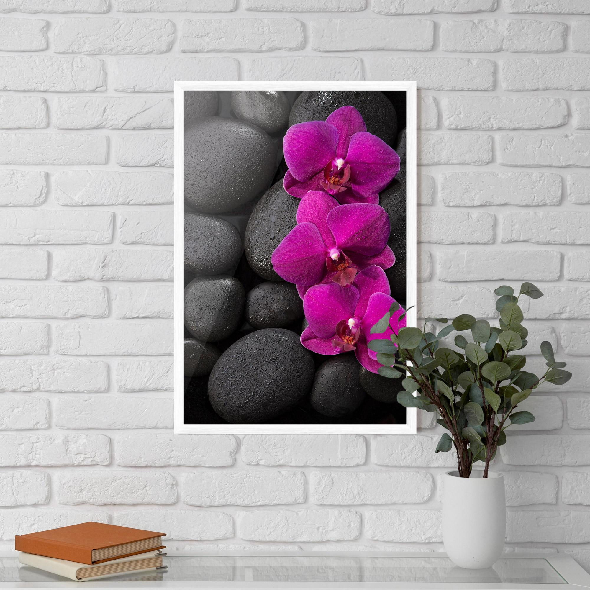 Poster Înrămat Purple Orchid On Rocks mockup 5