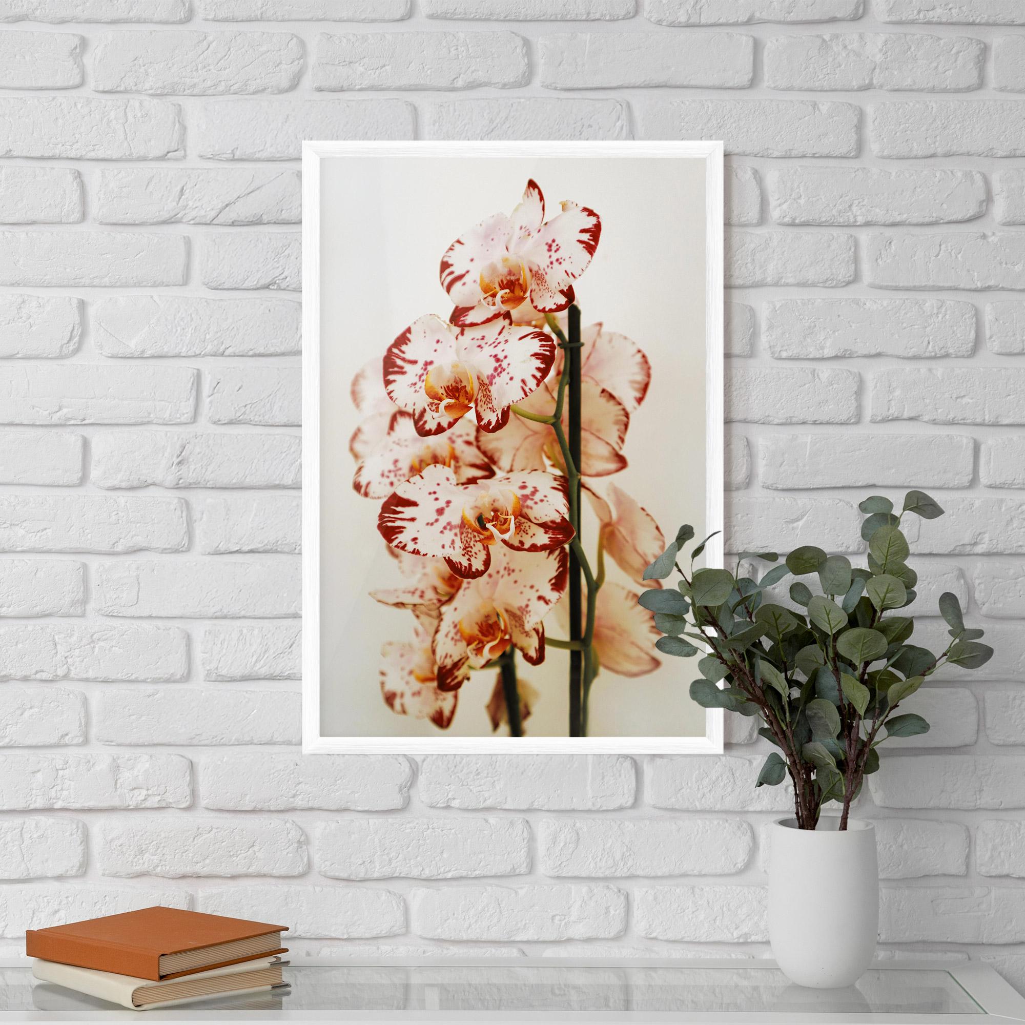 Poster Înrămat Red White Orchids mockup 5