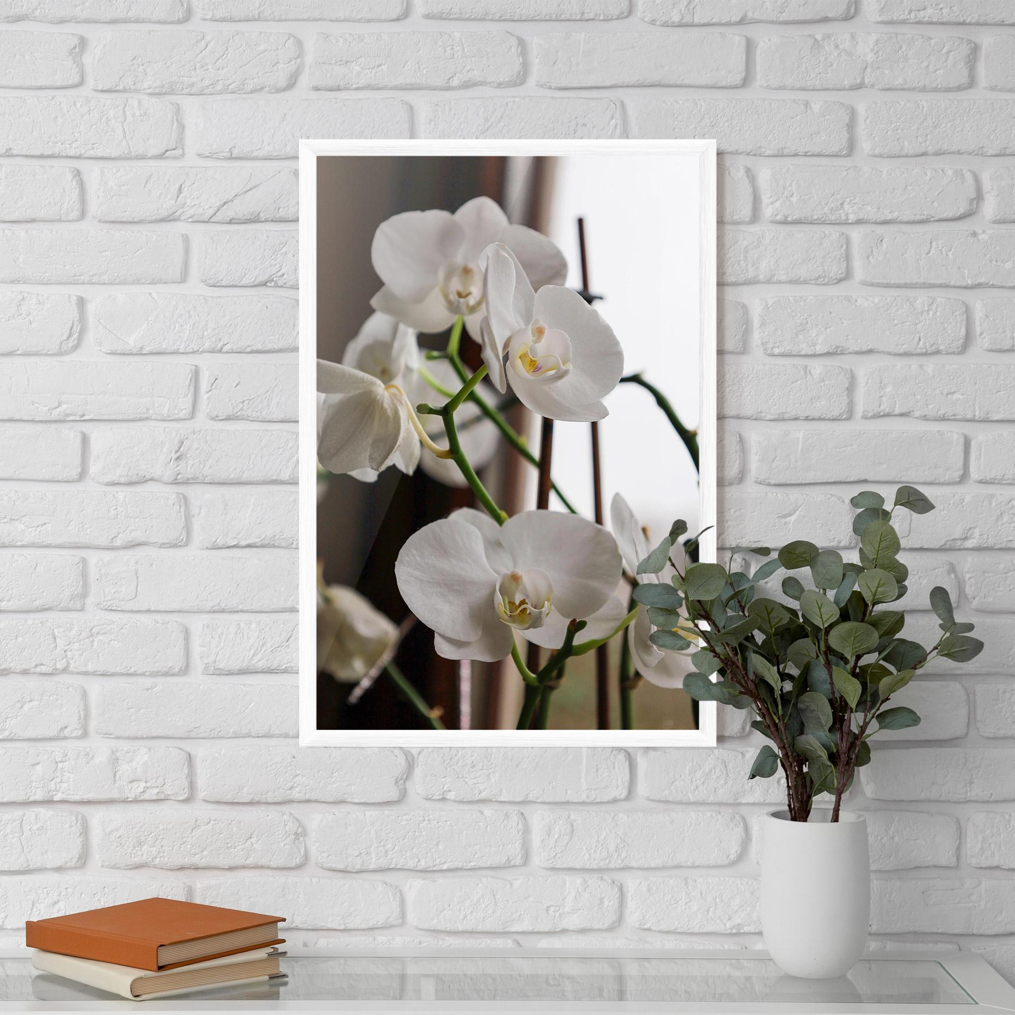 Poster Înrămat White Orchid Growing mockup 5