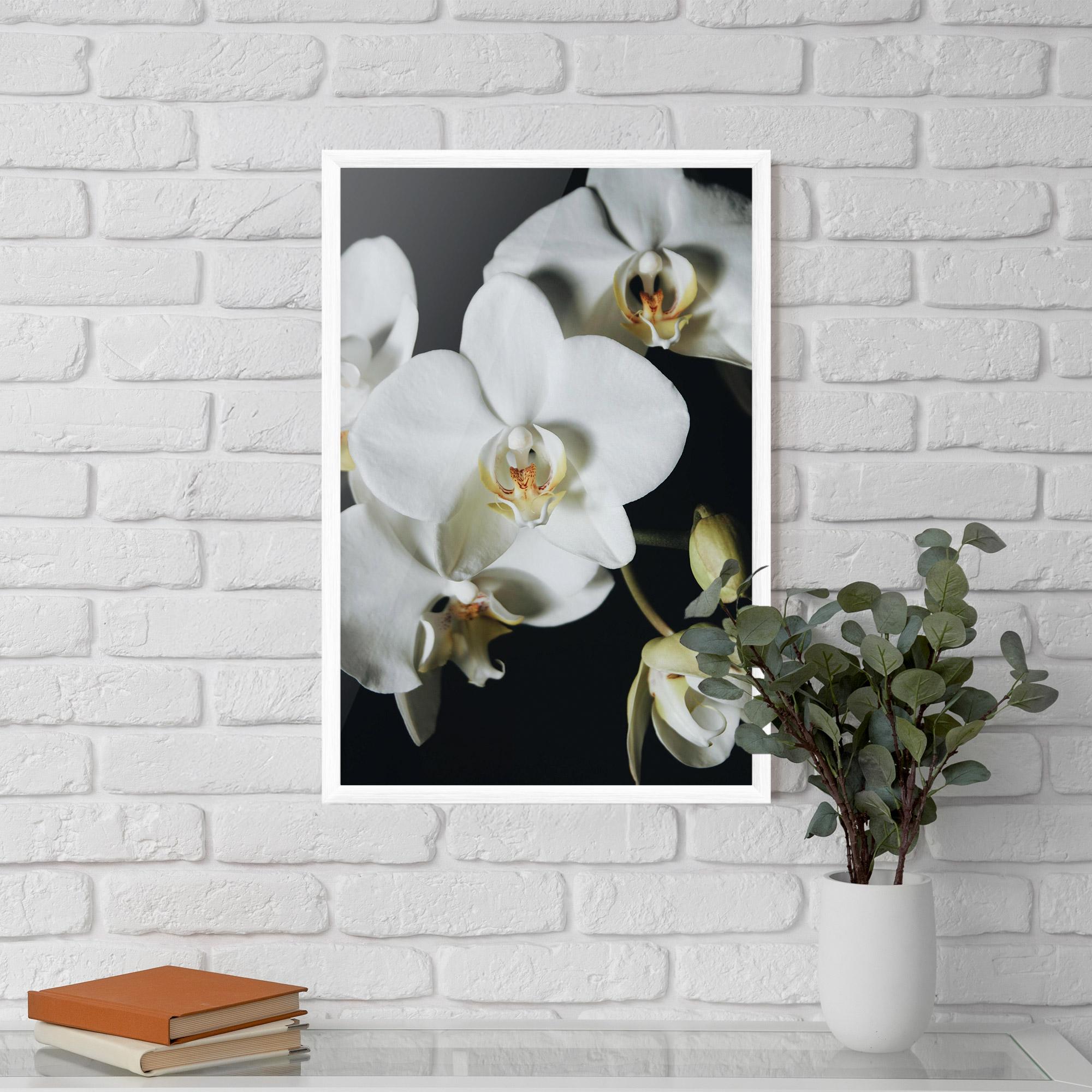 Poster Înrămat White Orchid On Black mockup 5