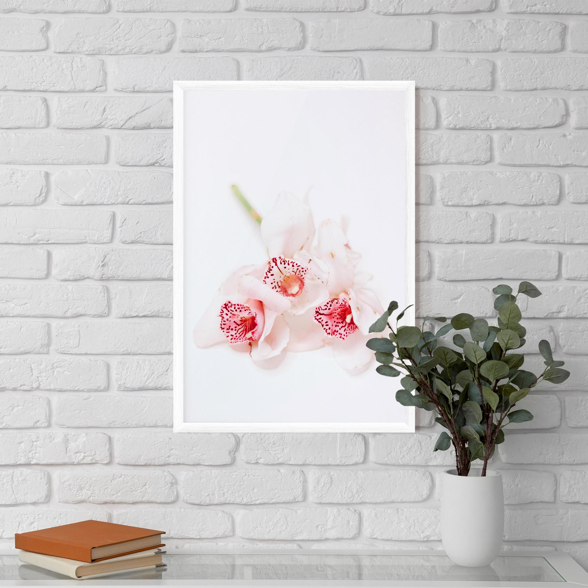 Poster Înrămat White Orchid With Pink mockup 5