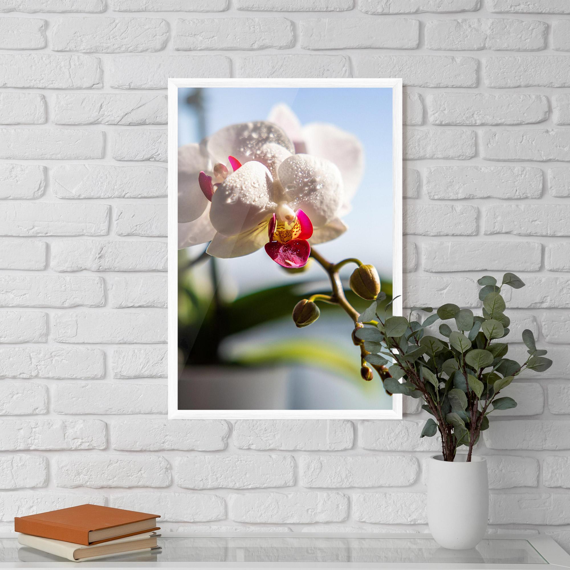 Poster Înrămat White Orchid With Water mockup 5