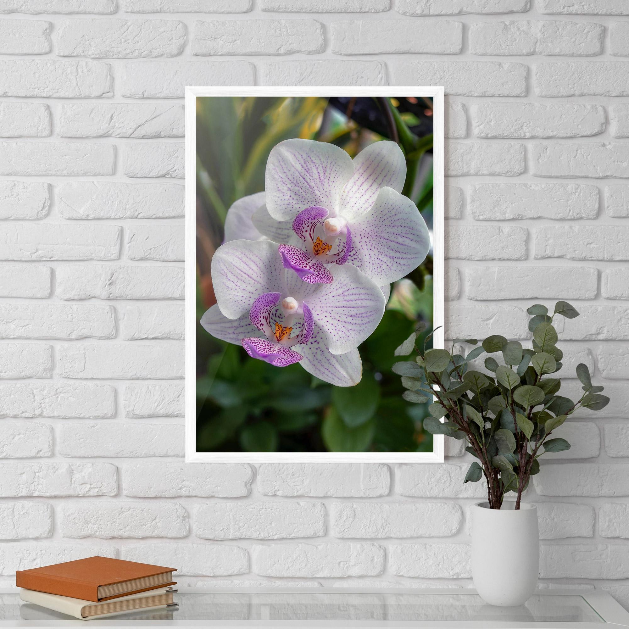 Poster Înrămat White Orchids mockup 5