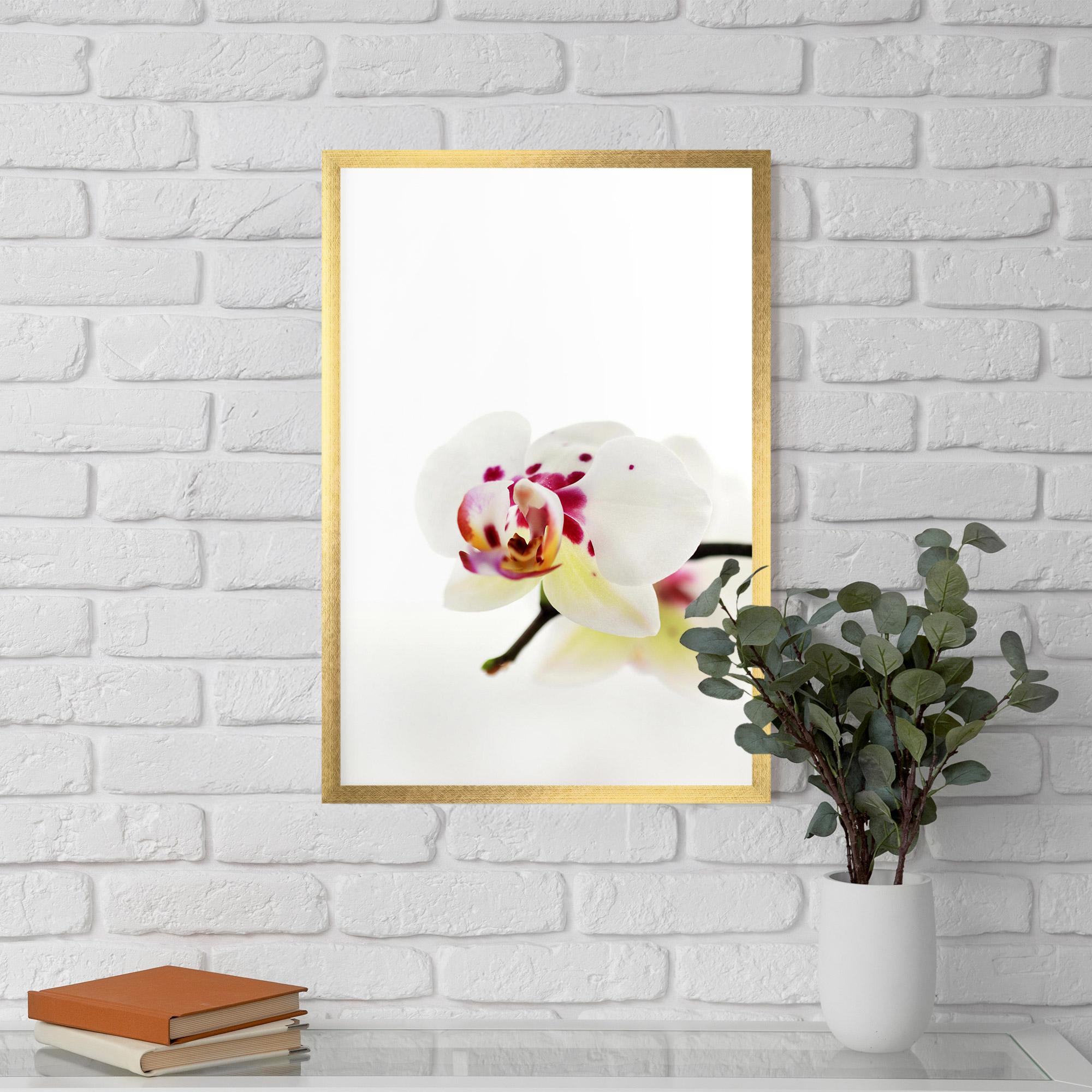 Poster Înrămat Clean White Orchid mockup 5
