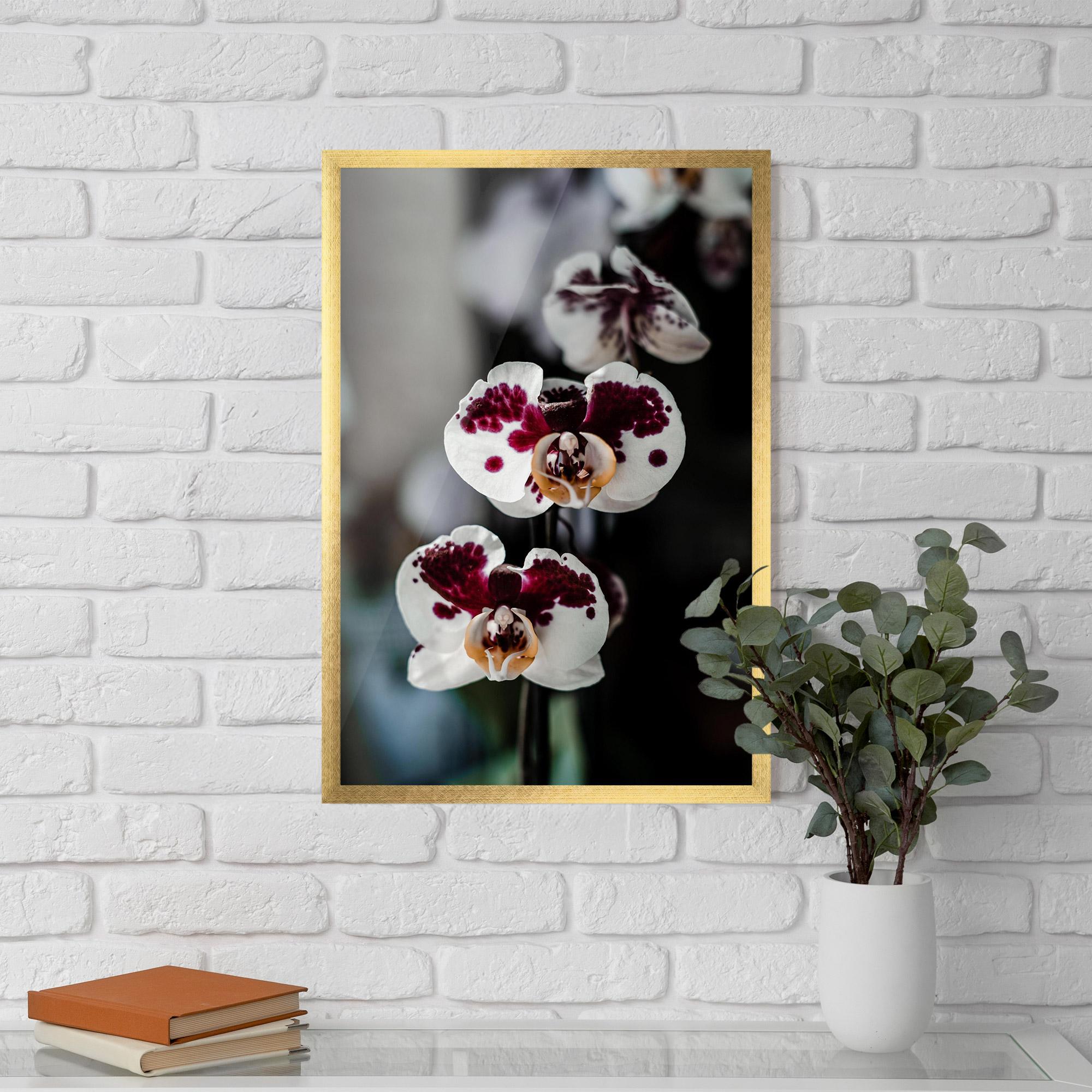 Poster Înrămat Dark Purple Orchid mockup 5