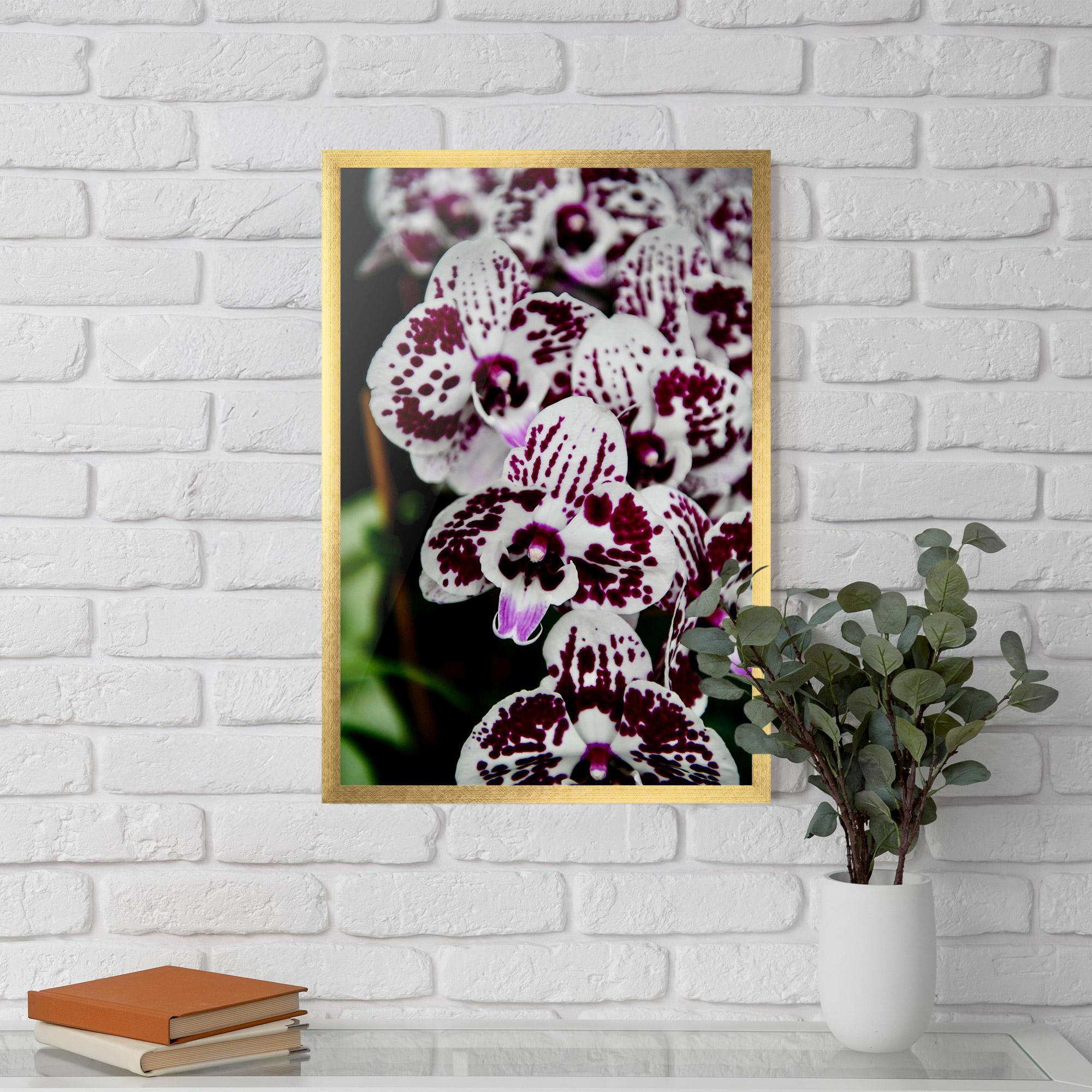 Poster Înrămat Dark Purple Orchids mockup 5