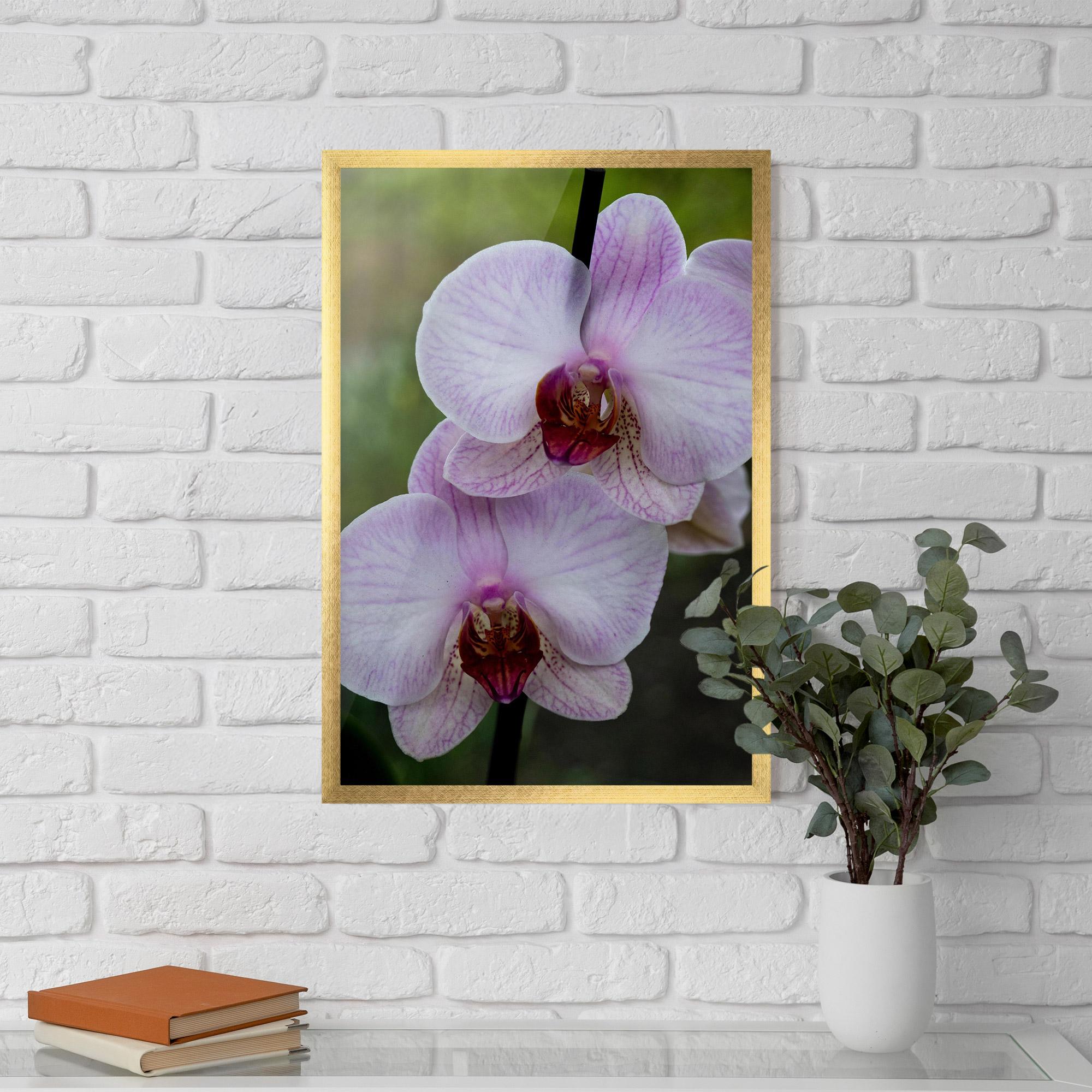 Poster Înrămat Garden Light Purple Orchid mockup 5
