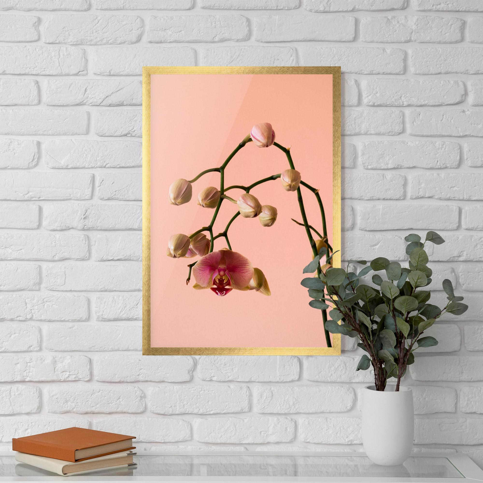 Poster Înrămat Orchids On Pink mockup 5