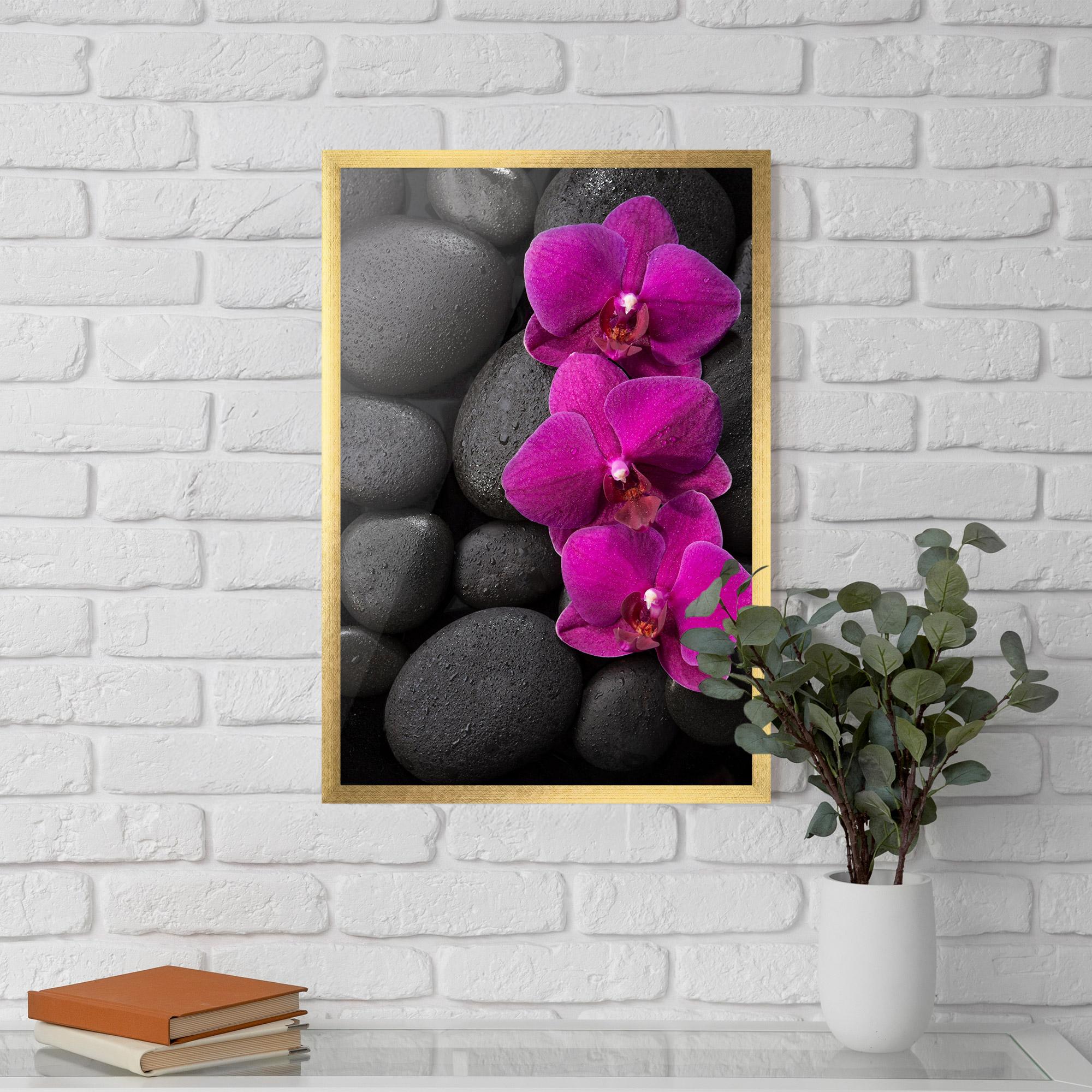 Poster Înrămat Purple Orchid On Rocks mockup 5
