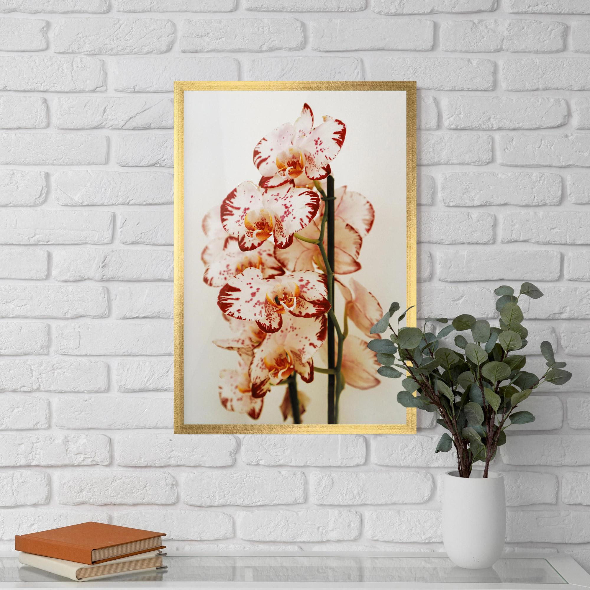 Poster Înrămat Red White Orchids mockup 5