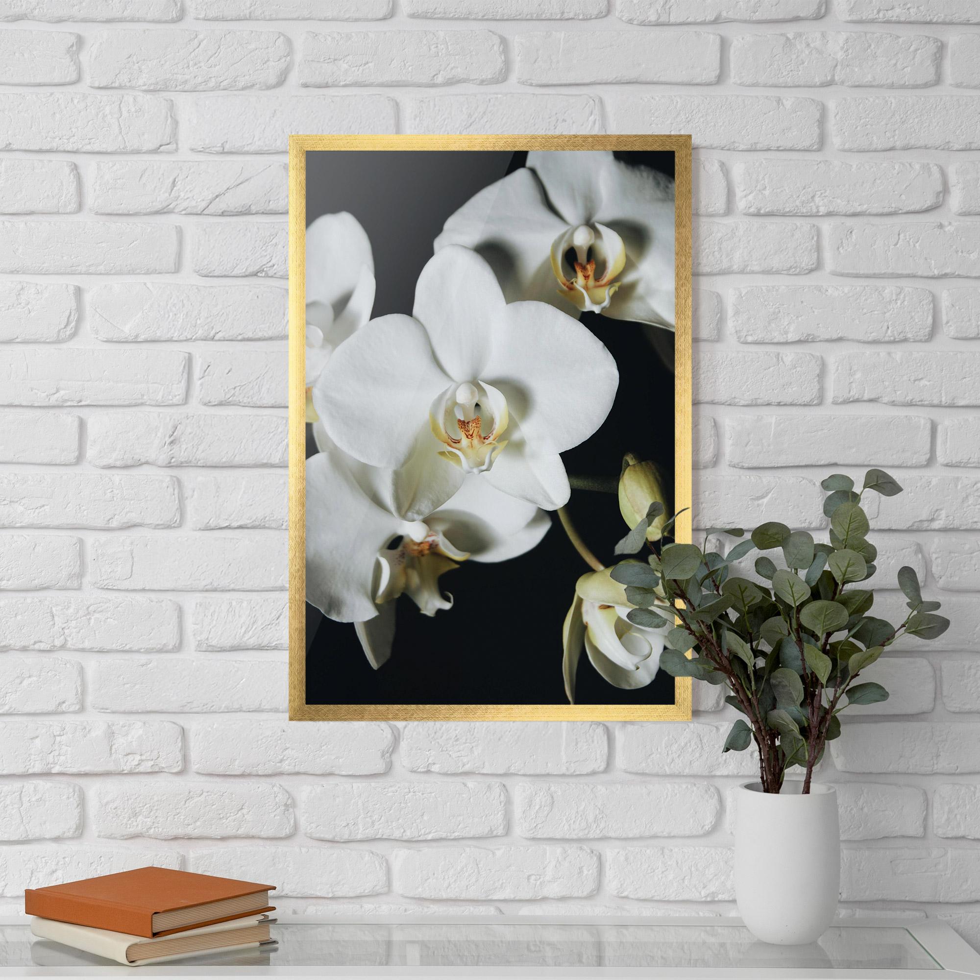 Poster Înrămat White Orchid On Black mockup 5