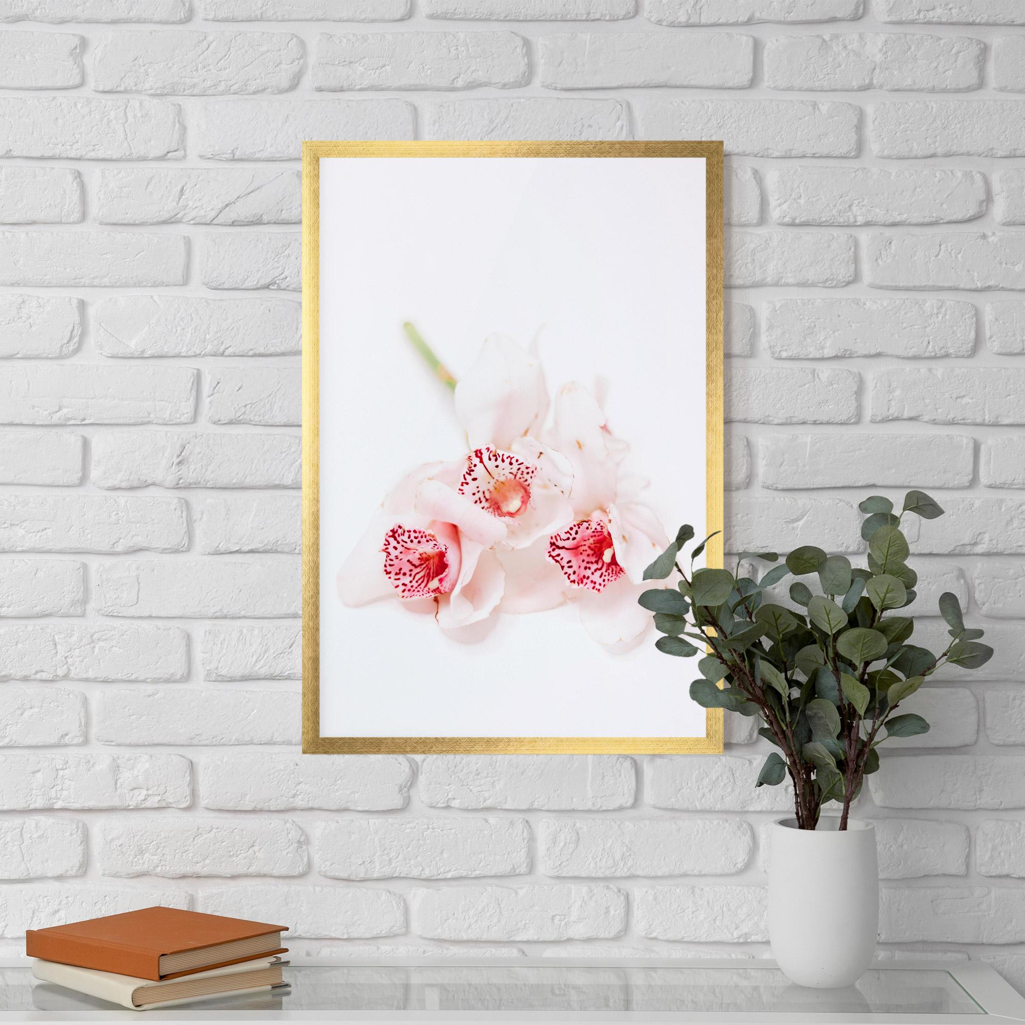 Poster Înrămat White Orchid With Pink mockup 5