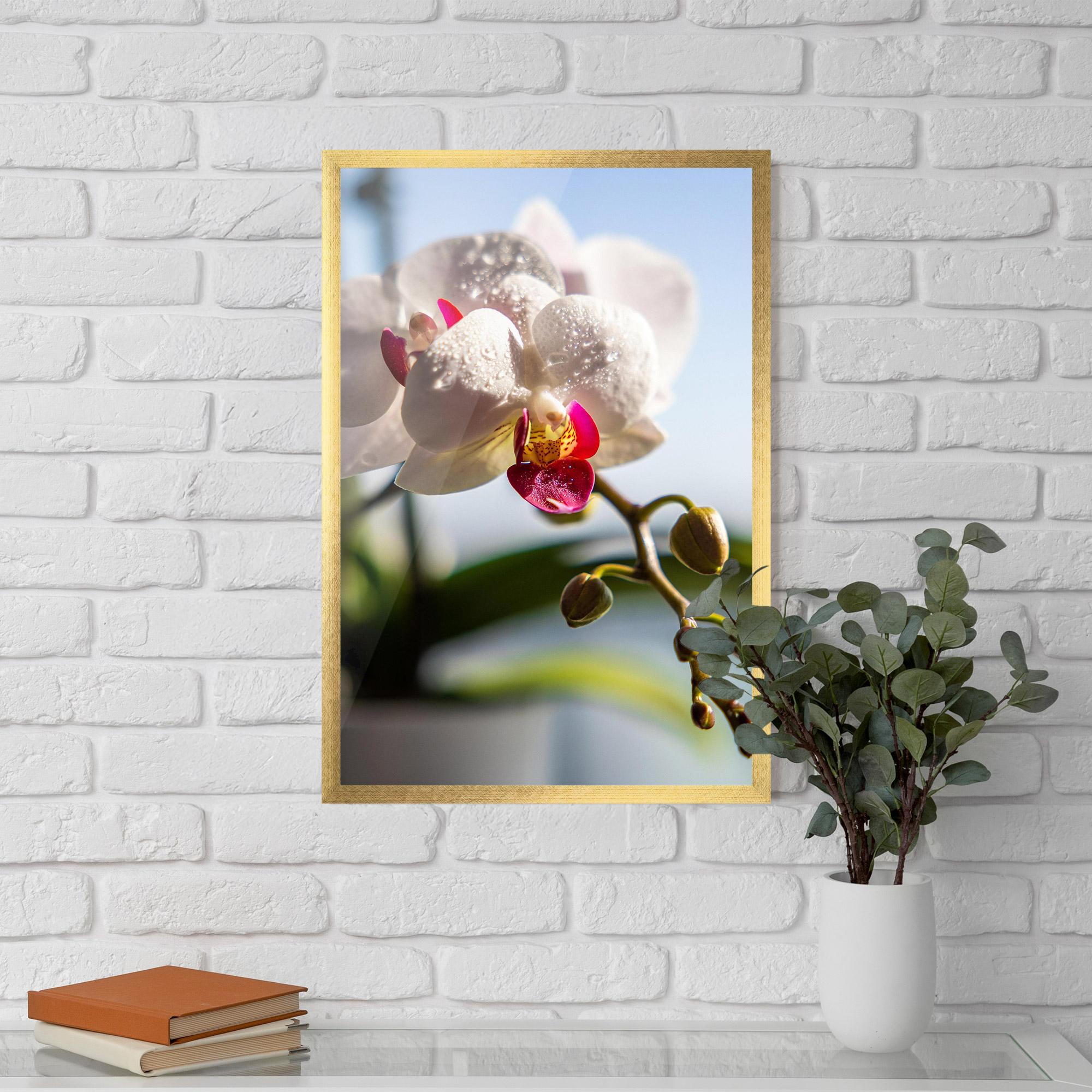 Poster Înrămat White Orchid With Water mockup 5