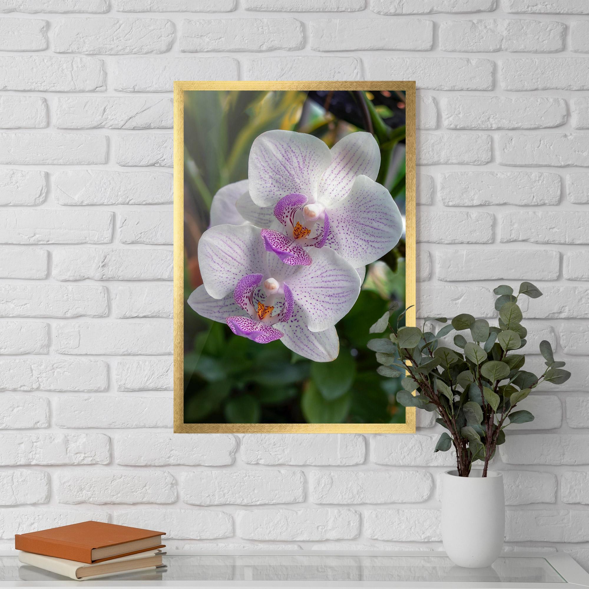 Poster Înrămat White Orchids mockup 5