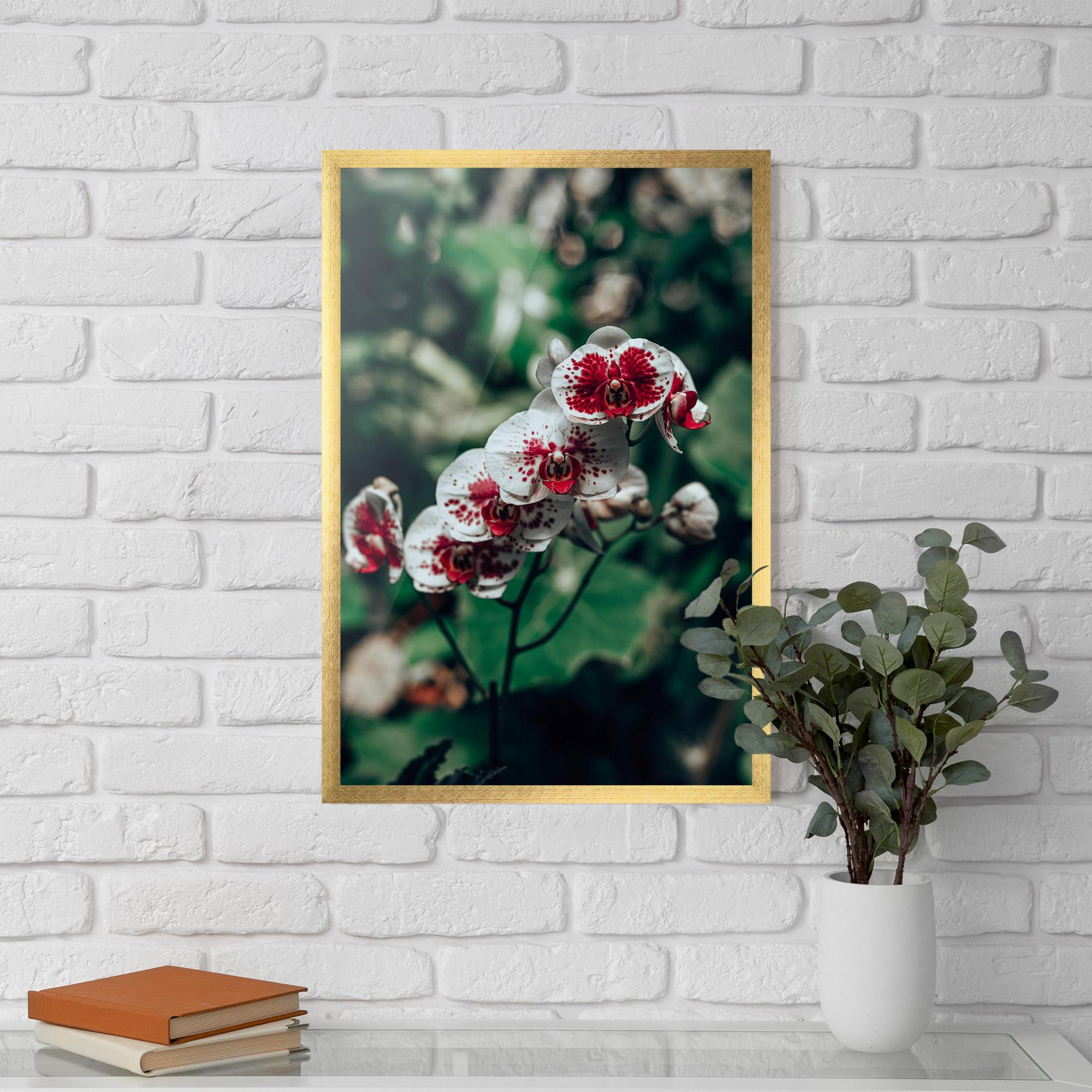 Poster Înrămat White Red Orchid mockup 5