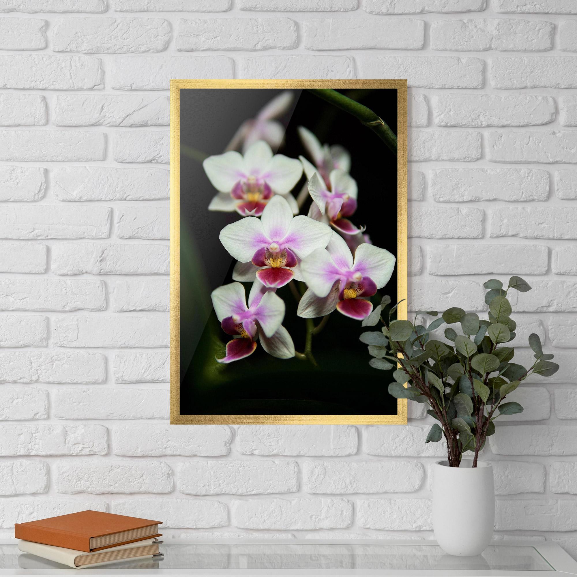 Poster Înrămat Wild White Purple Orchid mockup 5