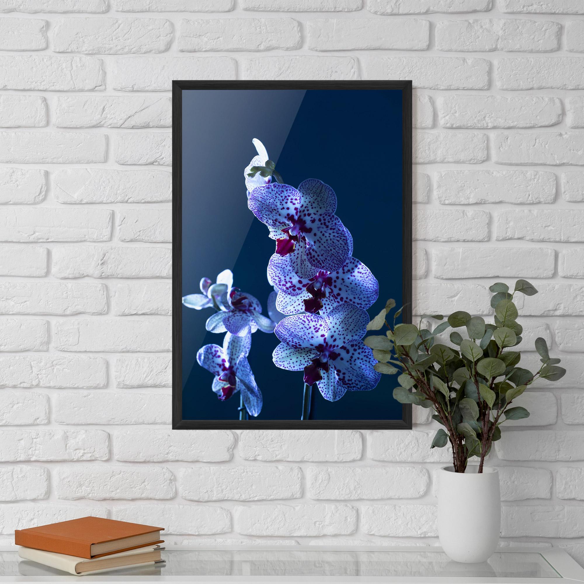 Poster Înrămat Blue Light Orchid mockup 5
