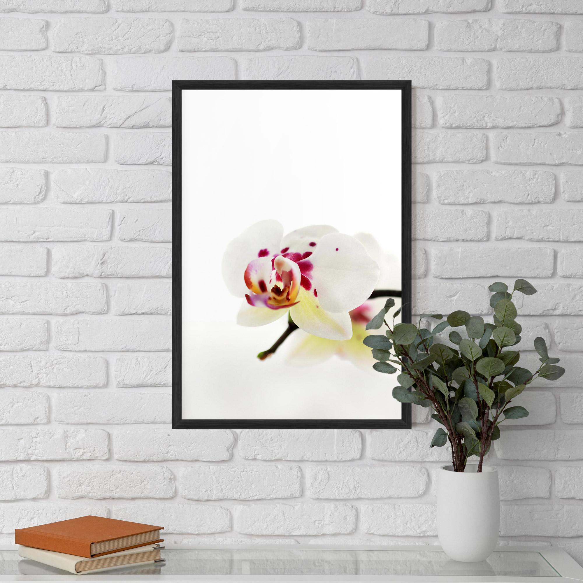Poster Înrămat Clean White Orchid mockup 5
