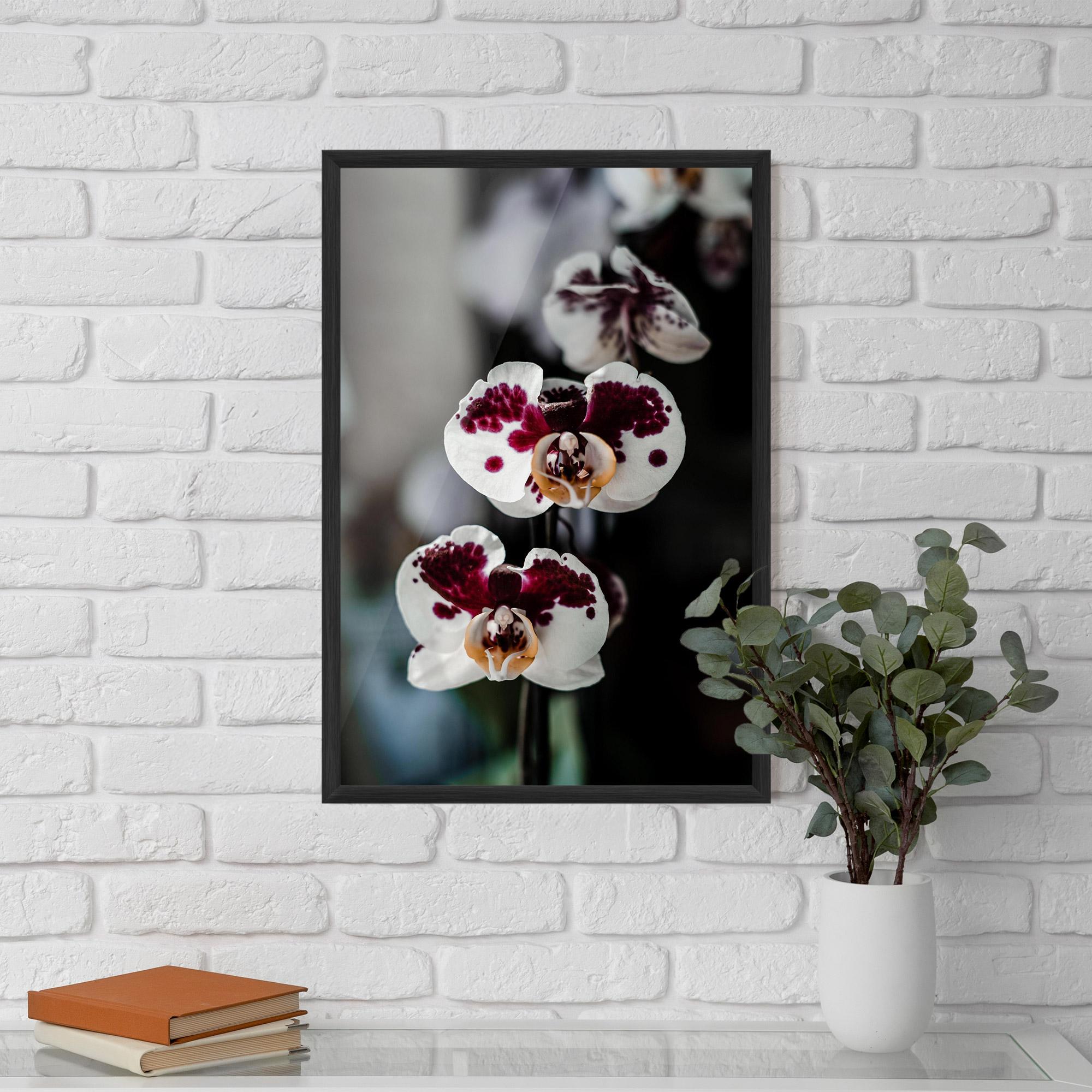 Poster Înrămat Dark Purple Orchid mockup 5