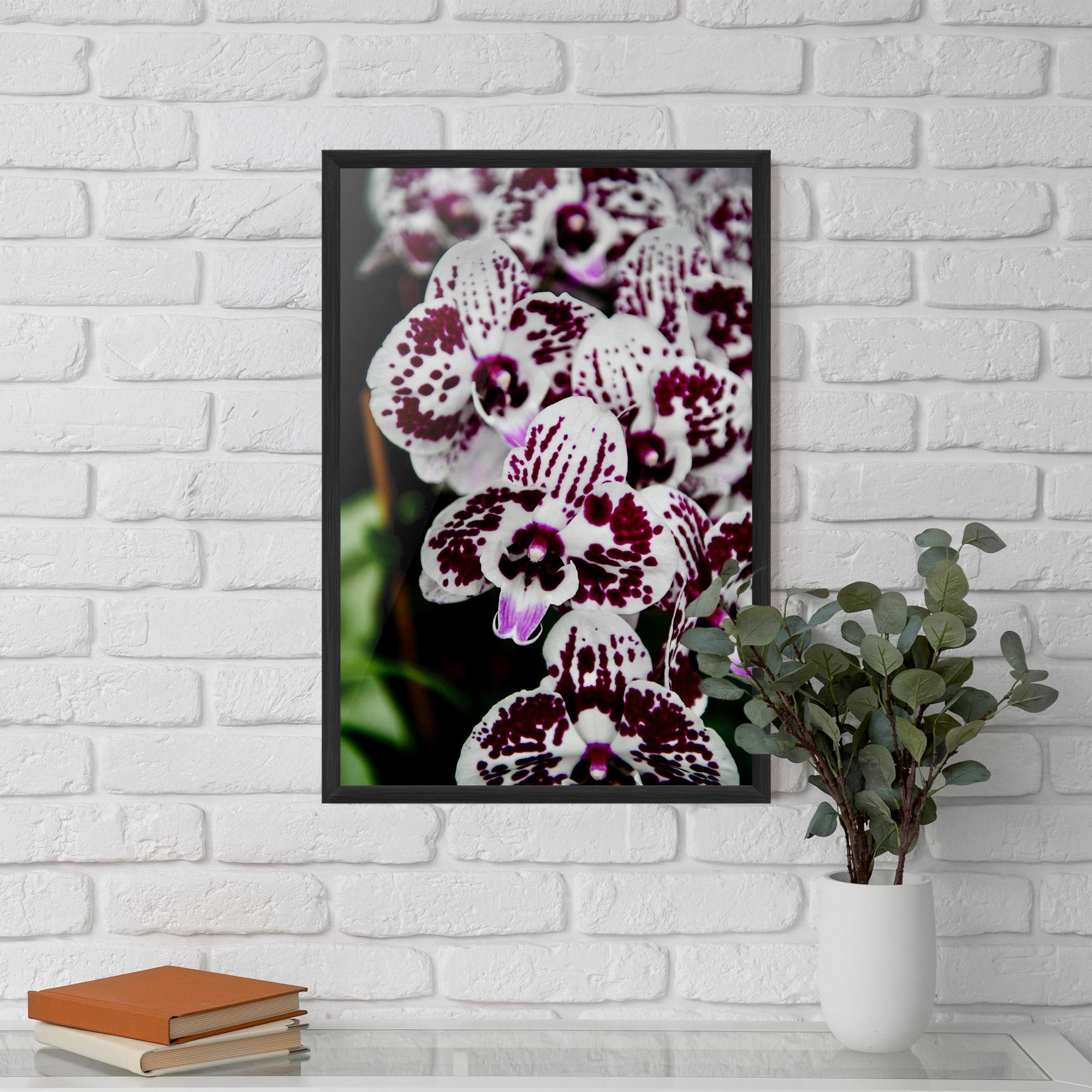 Poster Înrămat Dark Purple Orchids mockup 5