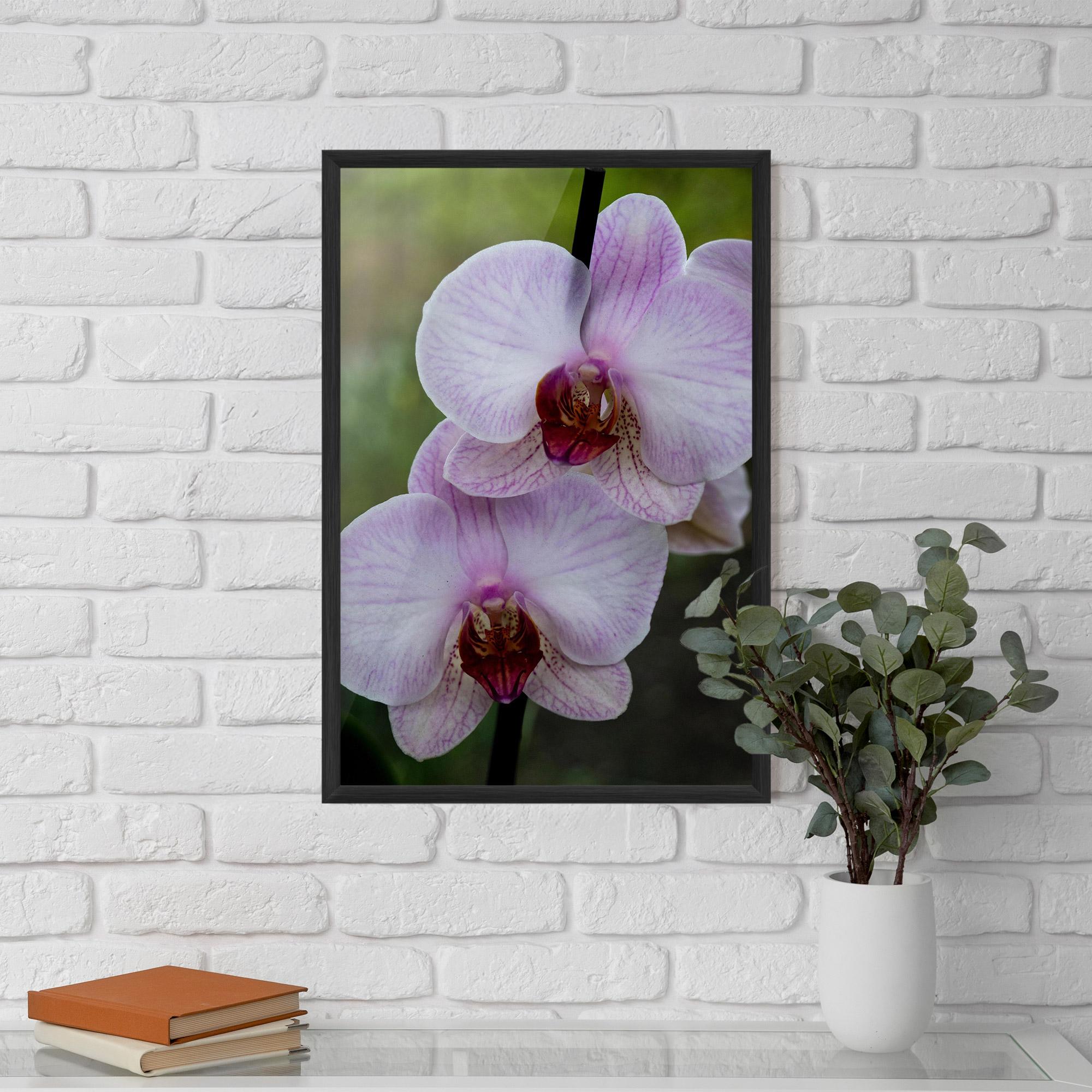 Poster Înrămat Garden Light Purple Orchid mockup 5