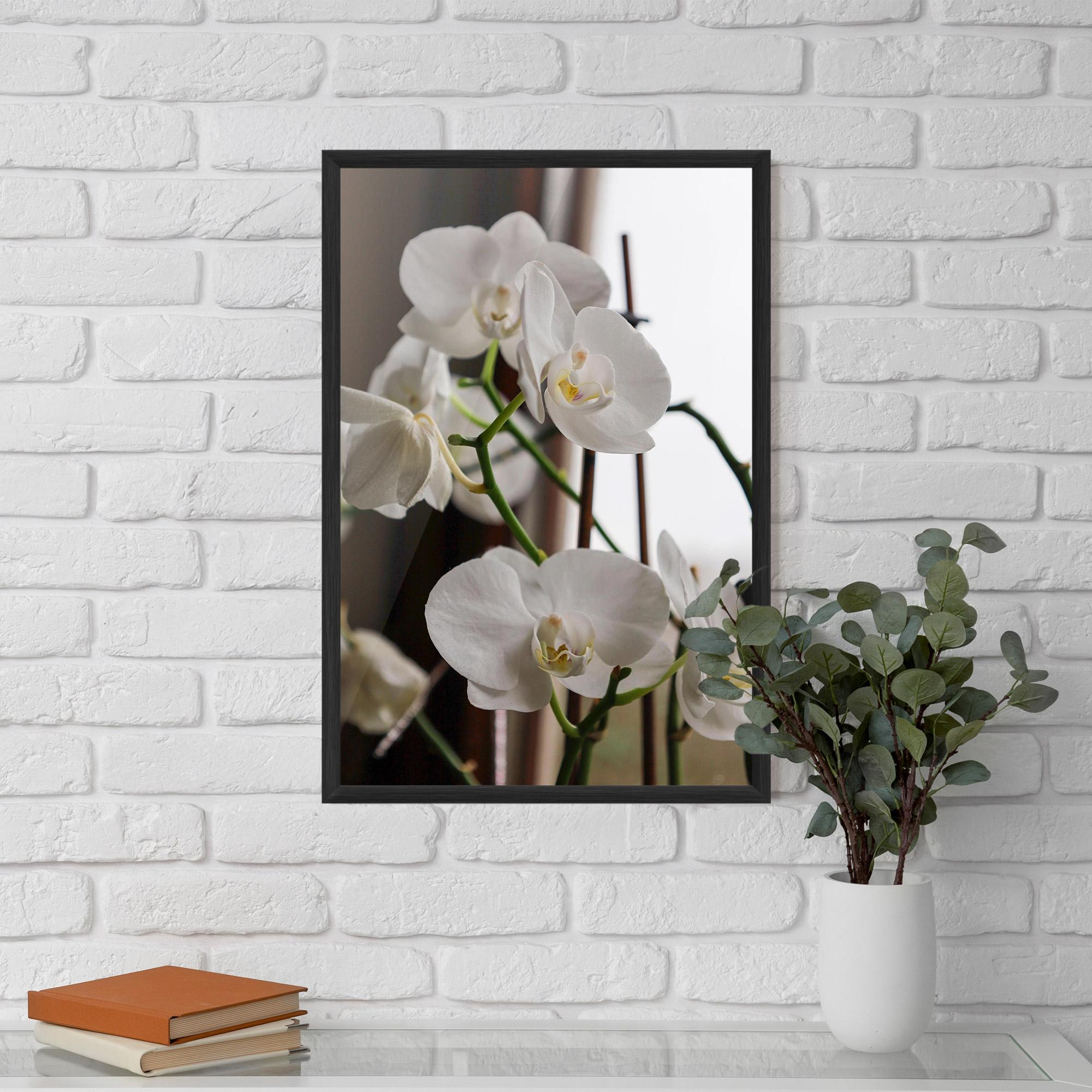 Poster Înrămat White Orchid Growing mockup 5