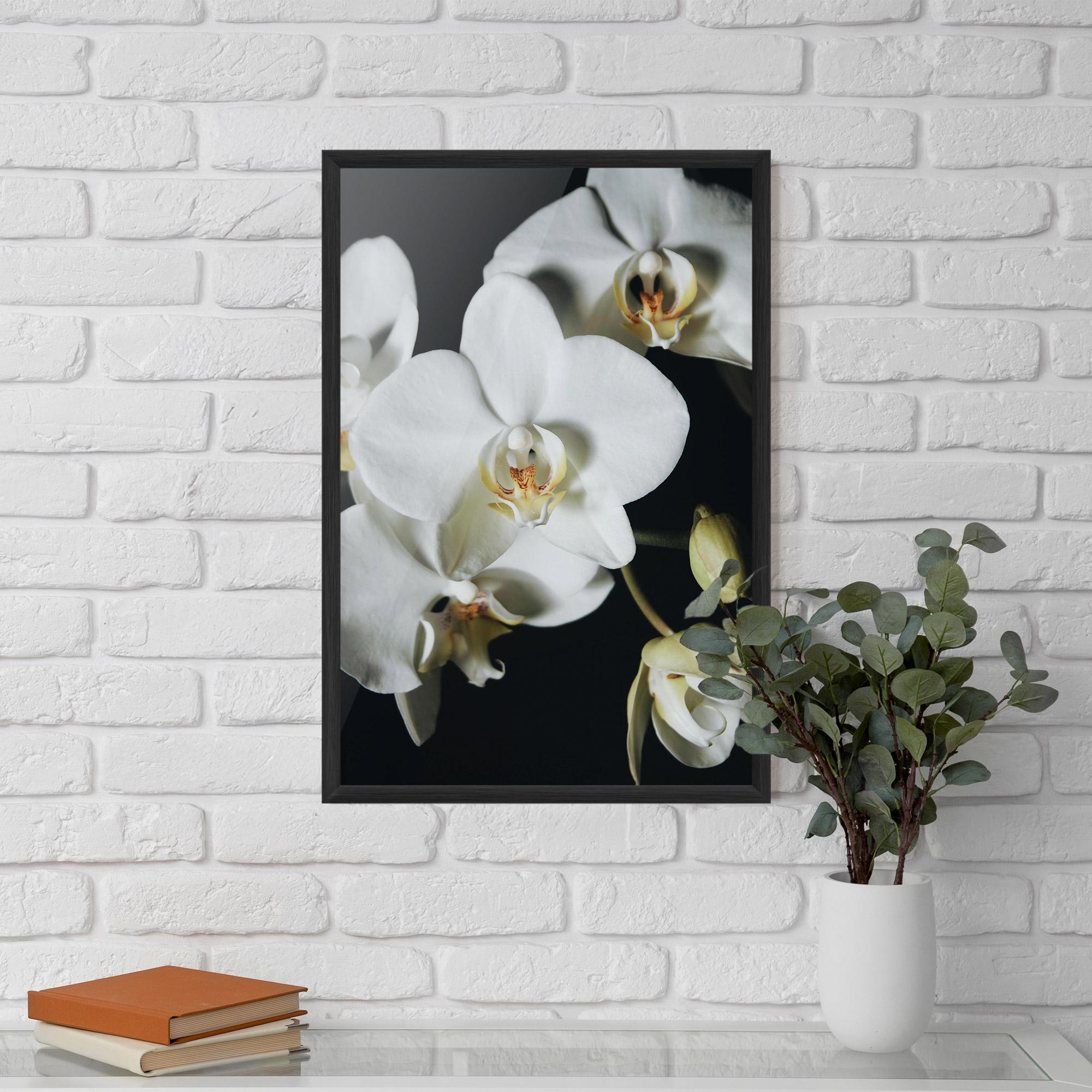 Poster Înrămat White Orchid On Black mockup 5