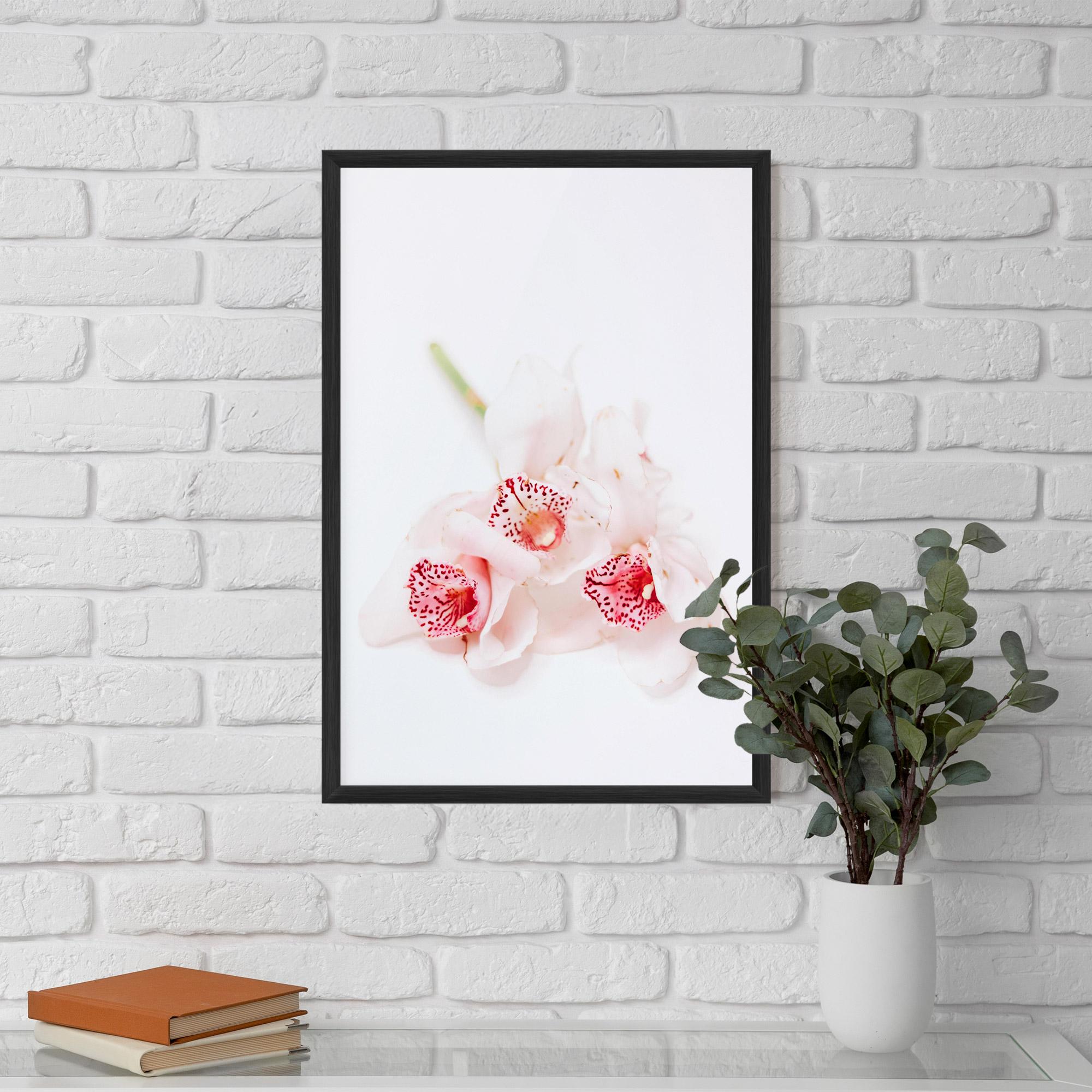 Poster Înrămat White Orchid With Pink mockup 5