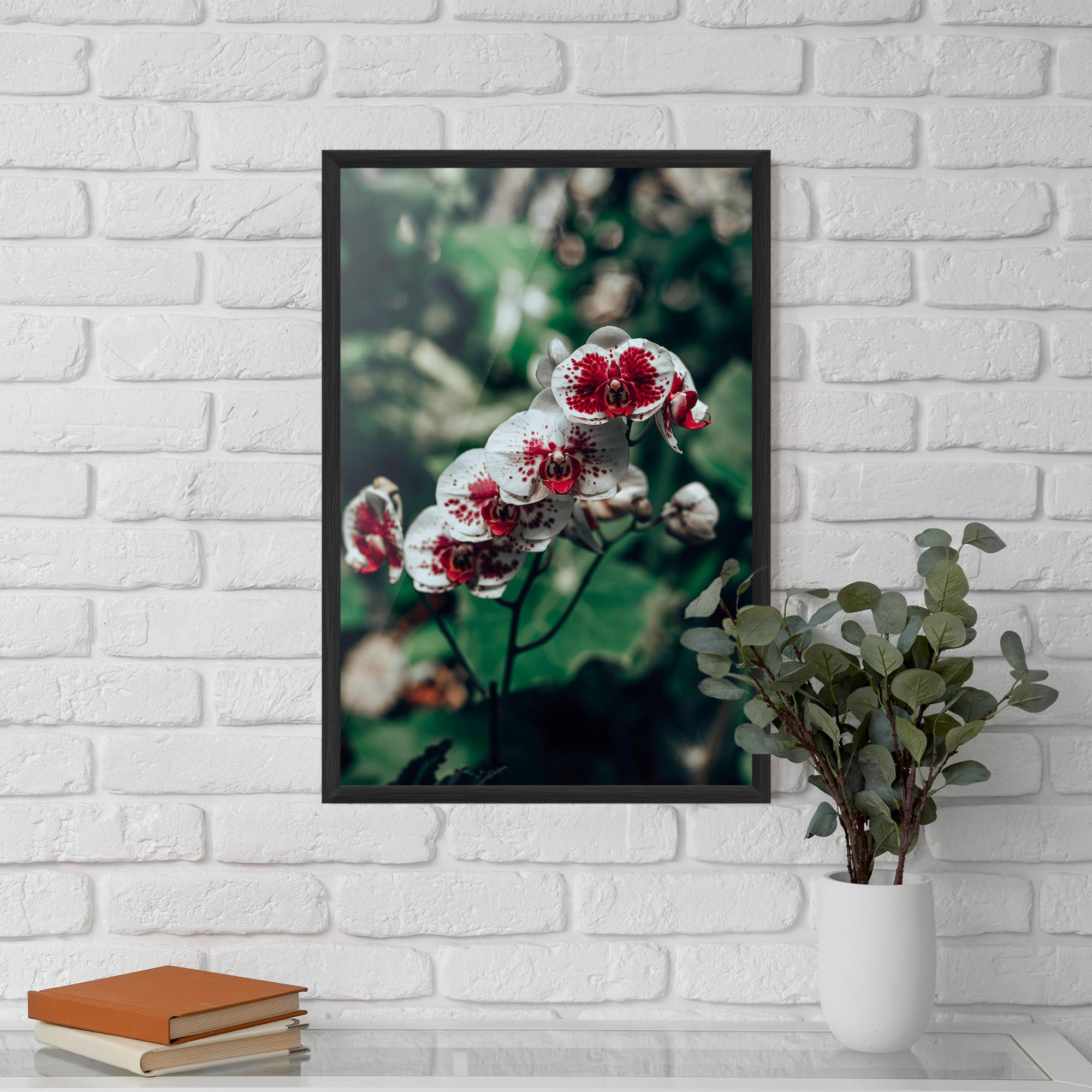 Poster Înrămat White Red Orchid mockup 5