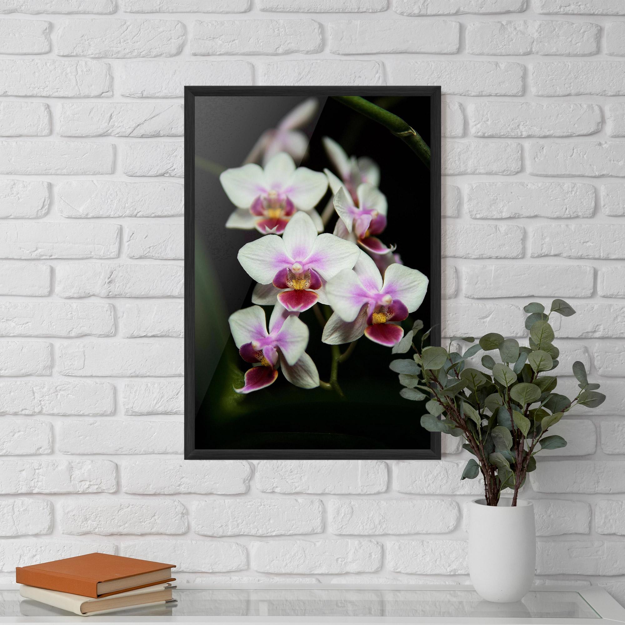 Poster Înrămat Wild White Purple Orchid mockup 5
