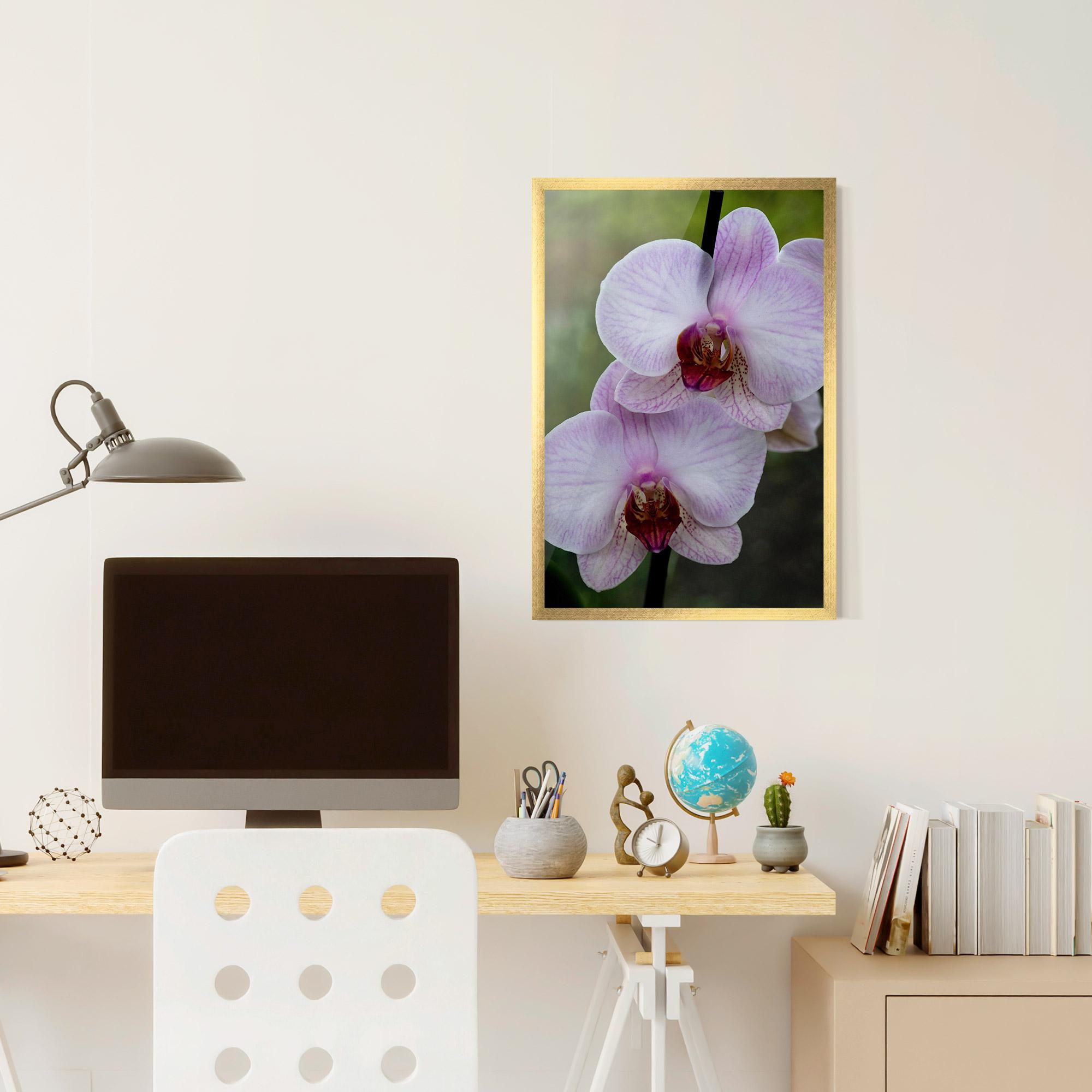 Poster Înrămat Garden Light Purple Orchid mockup 6