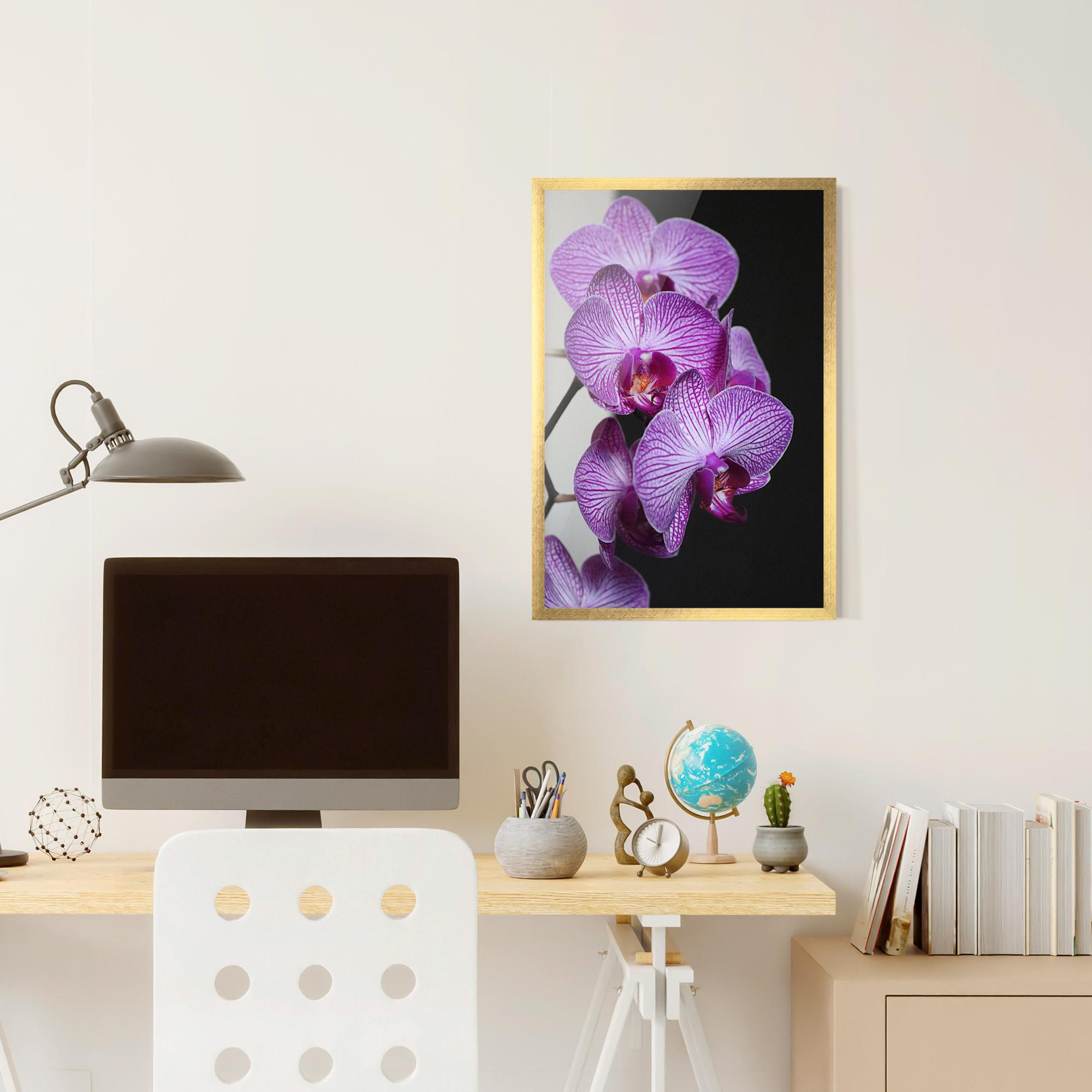 Poster Înrămat Purple Orchid On Black mockup 6