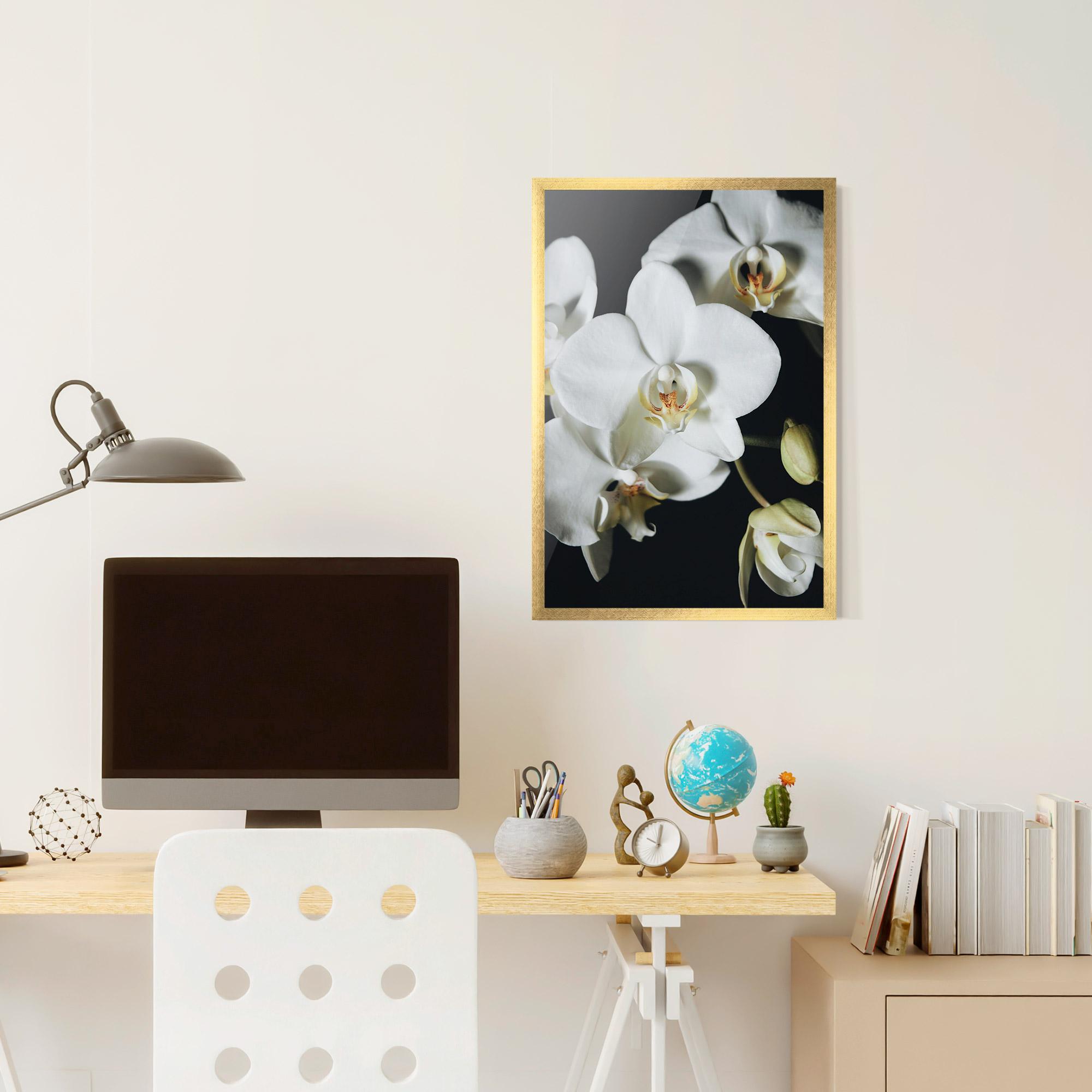 Poster Înrămat White Orchid On Black mockup 6