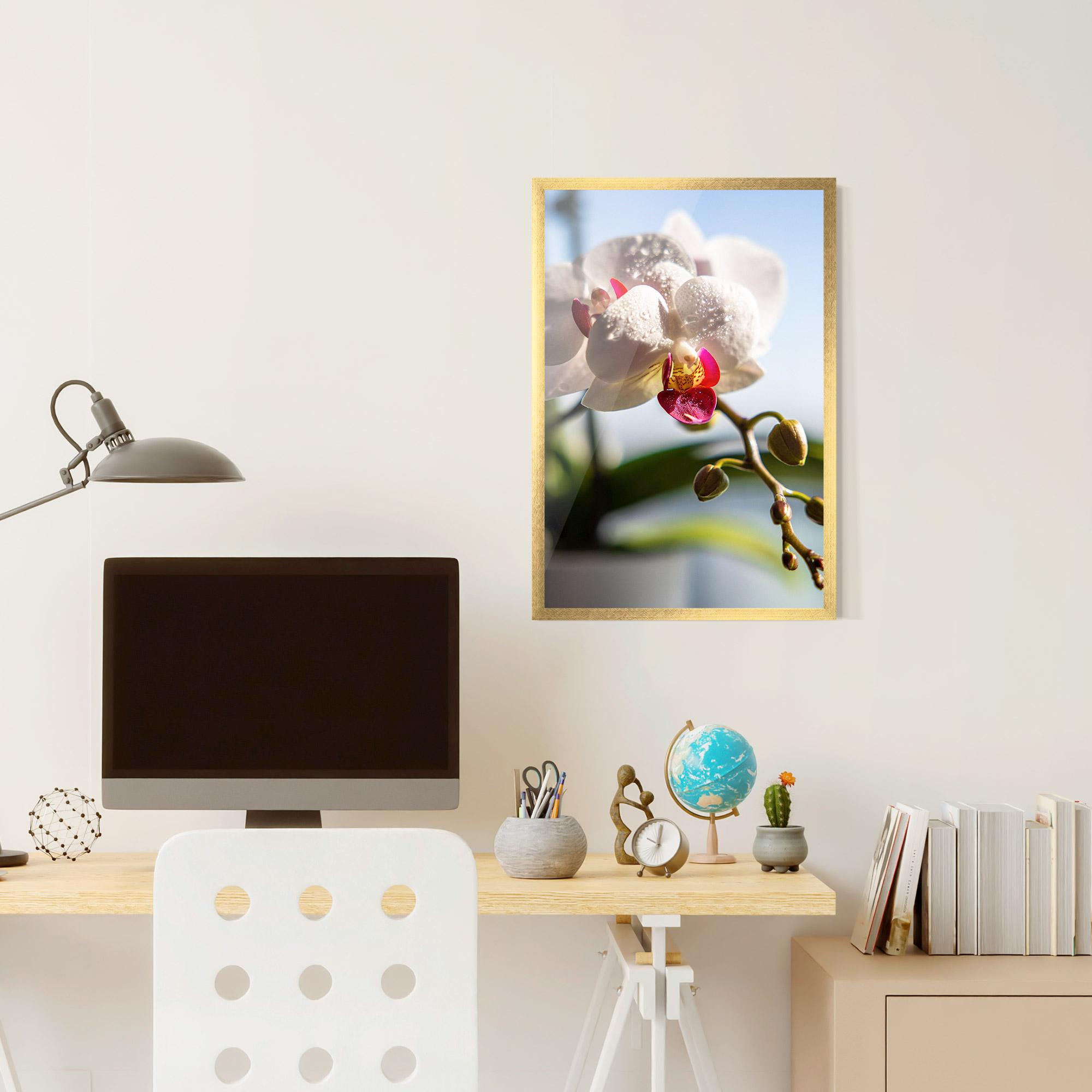 Poster Înrămat White Orchid With Water mockup 6
