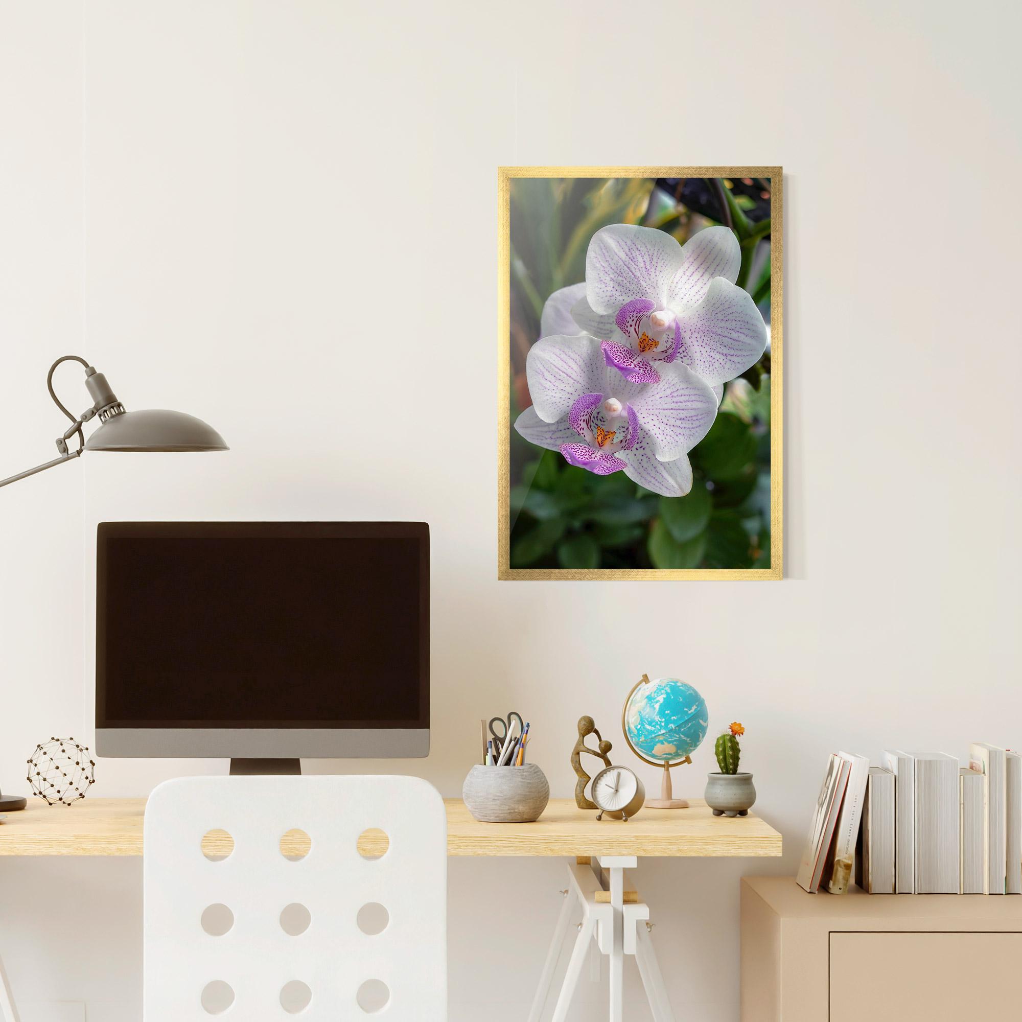 Poster Înrămat White Orchids mockup 6