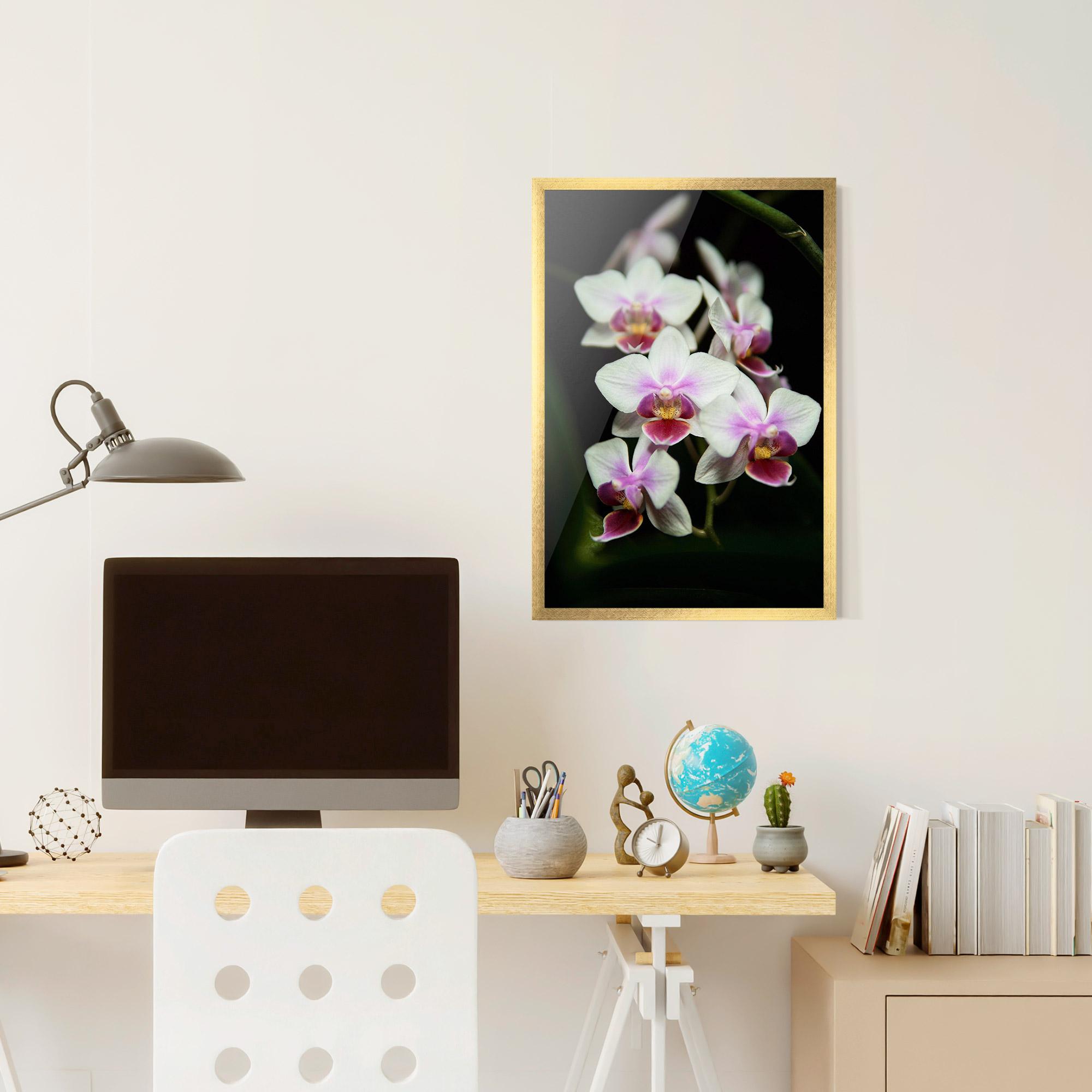 Poster Înrămat Wild White Purple Orchid mockup 6