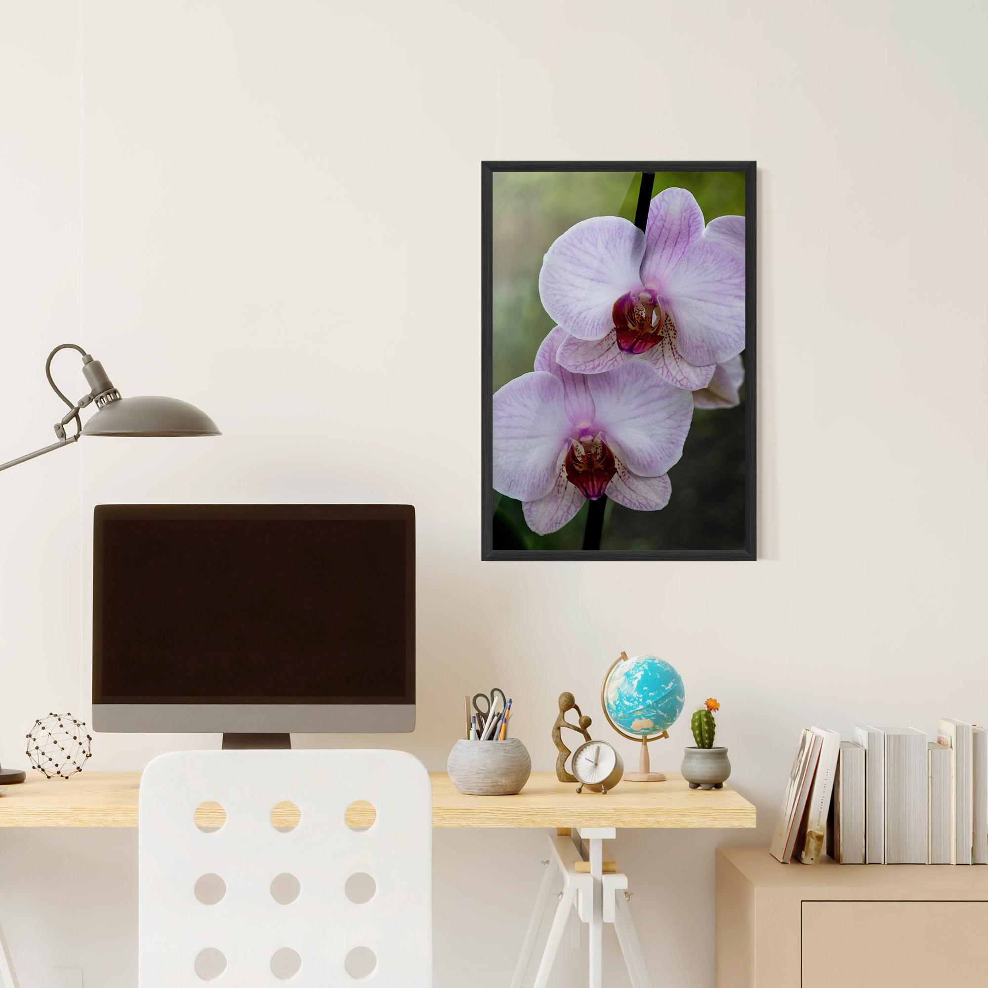 Poster Înrămat Garden Light Purple Orchid mockup 6
