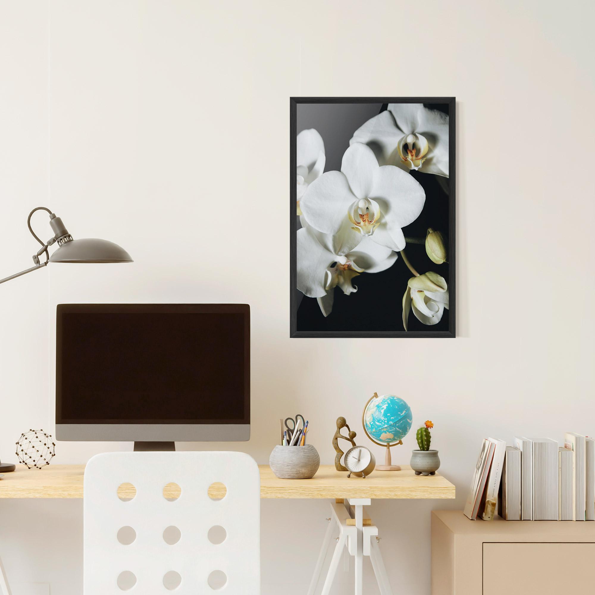 Poster Înrămat White Orchid On Black mockup 6