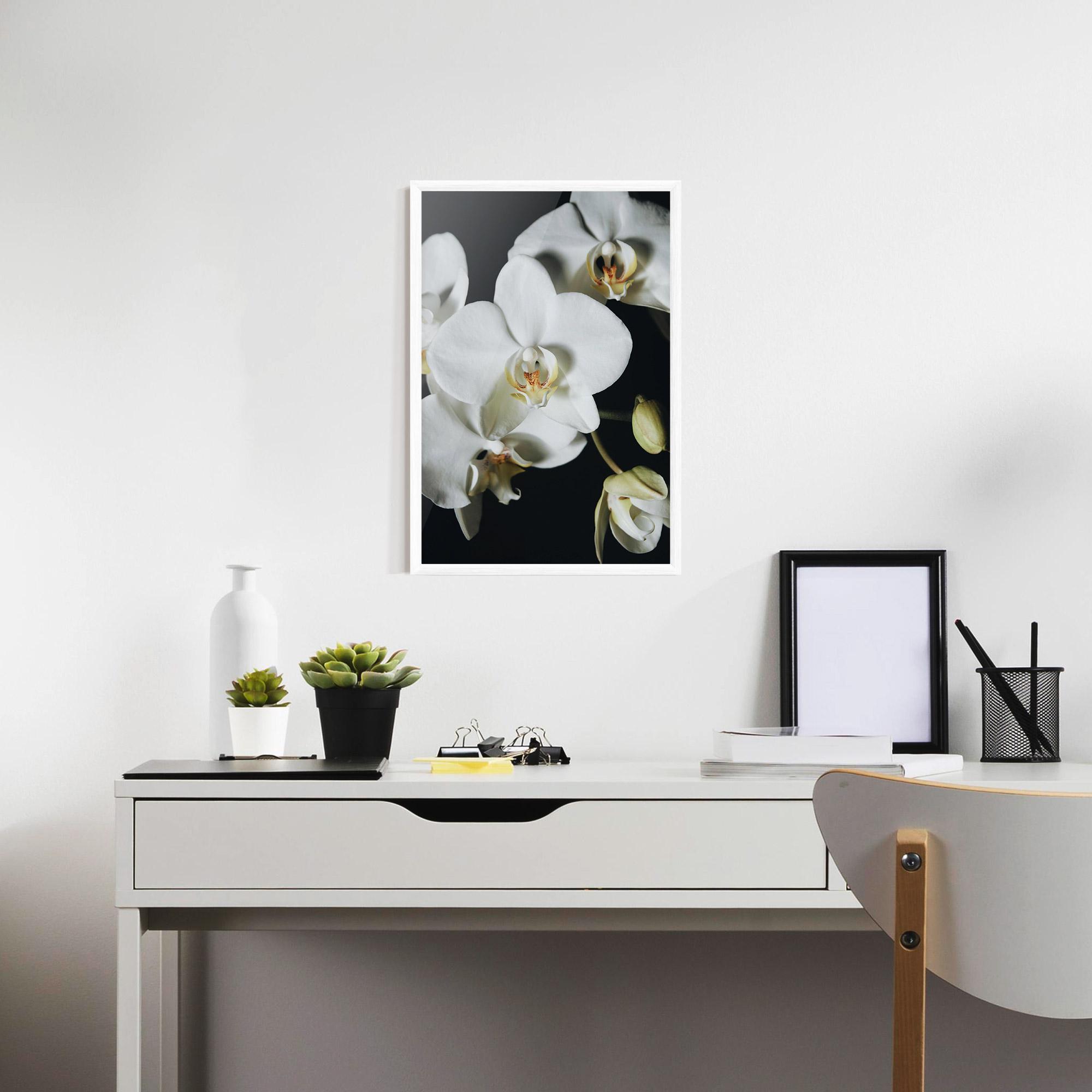 Poster Înrămat White Orchid On Black mockup 7