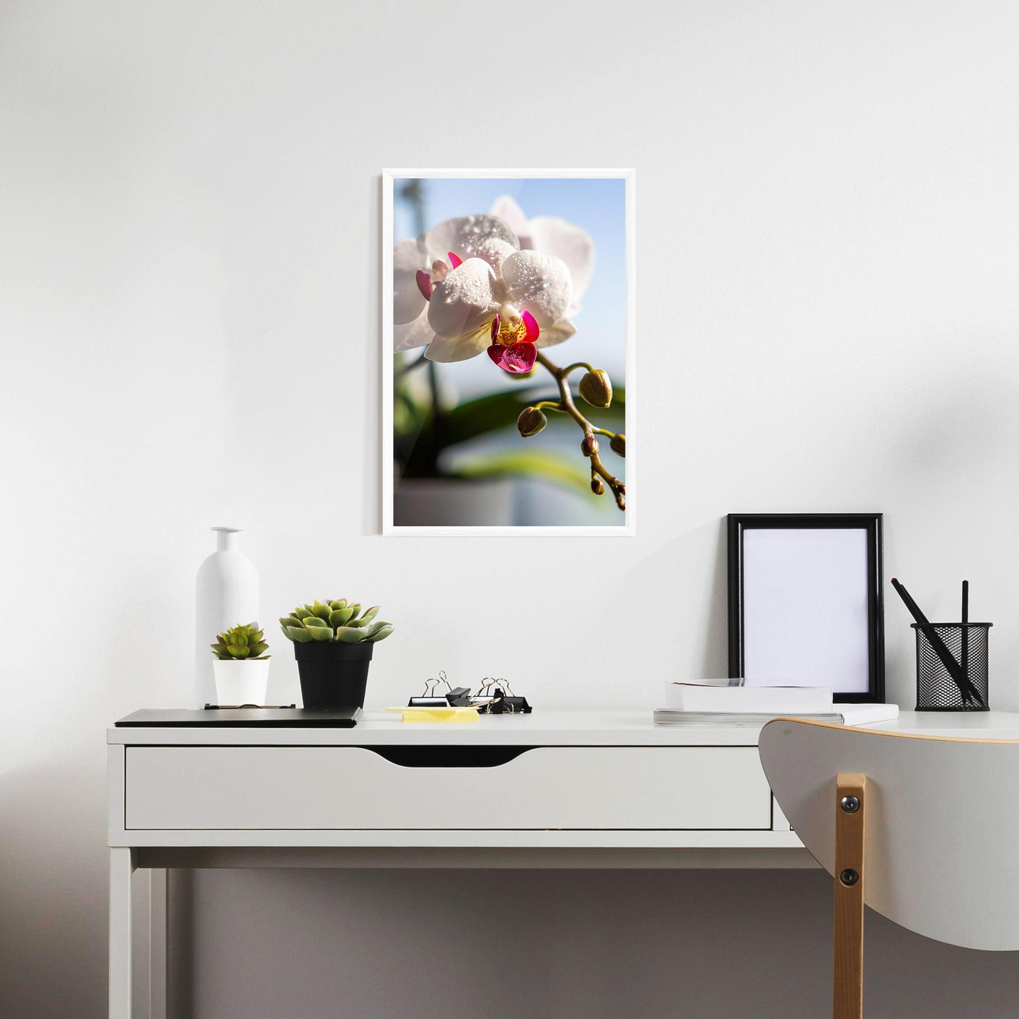 Poster Înrămat White Orchid With Water mockup 7