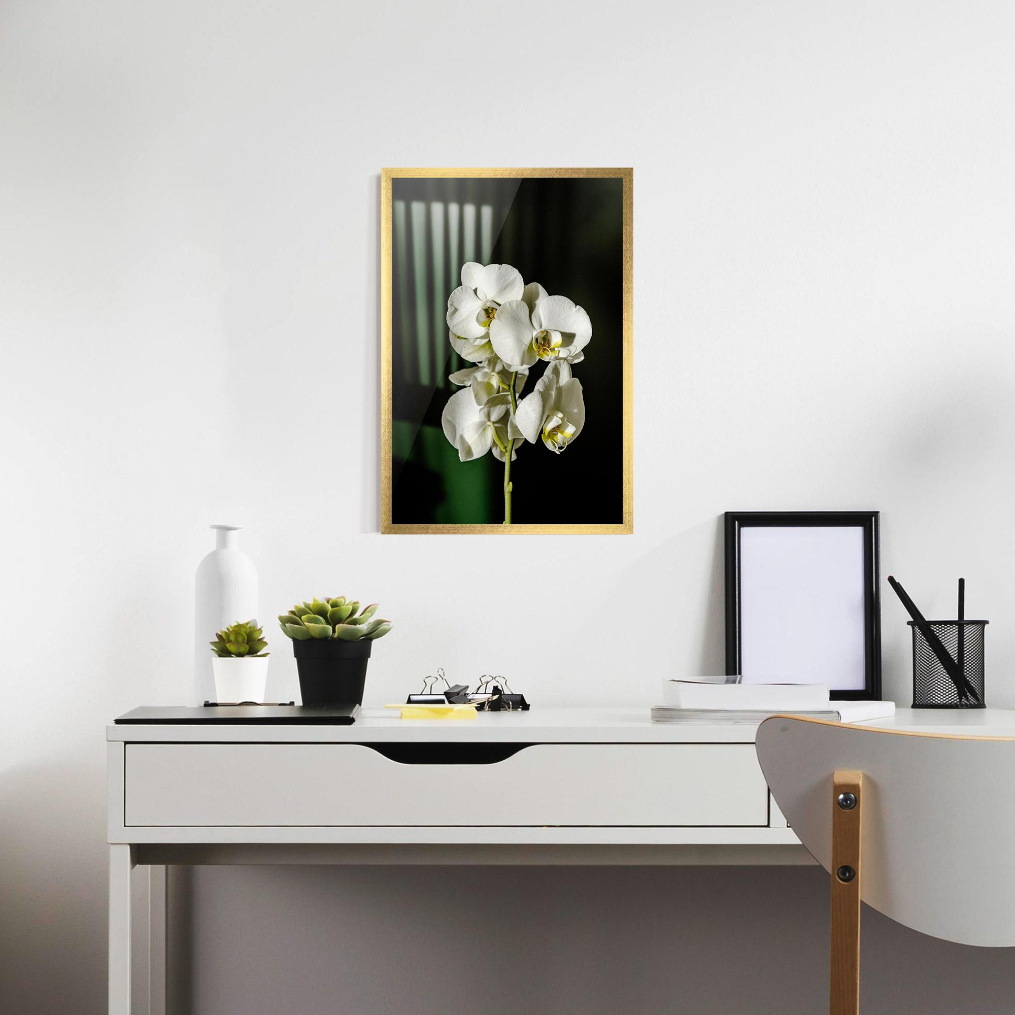 Poster Înrămat Orchid On Green mockup 7