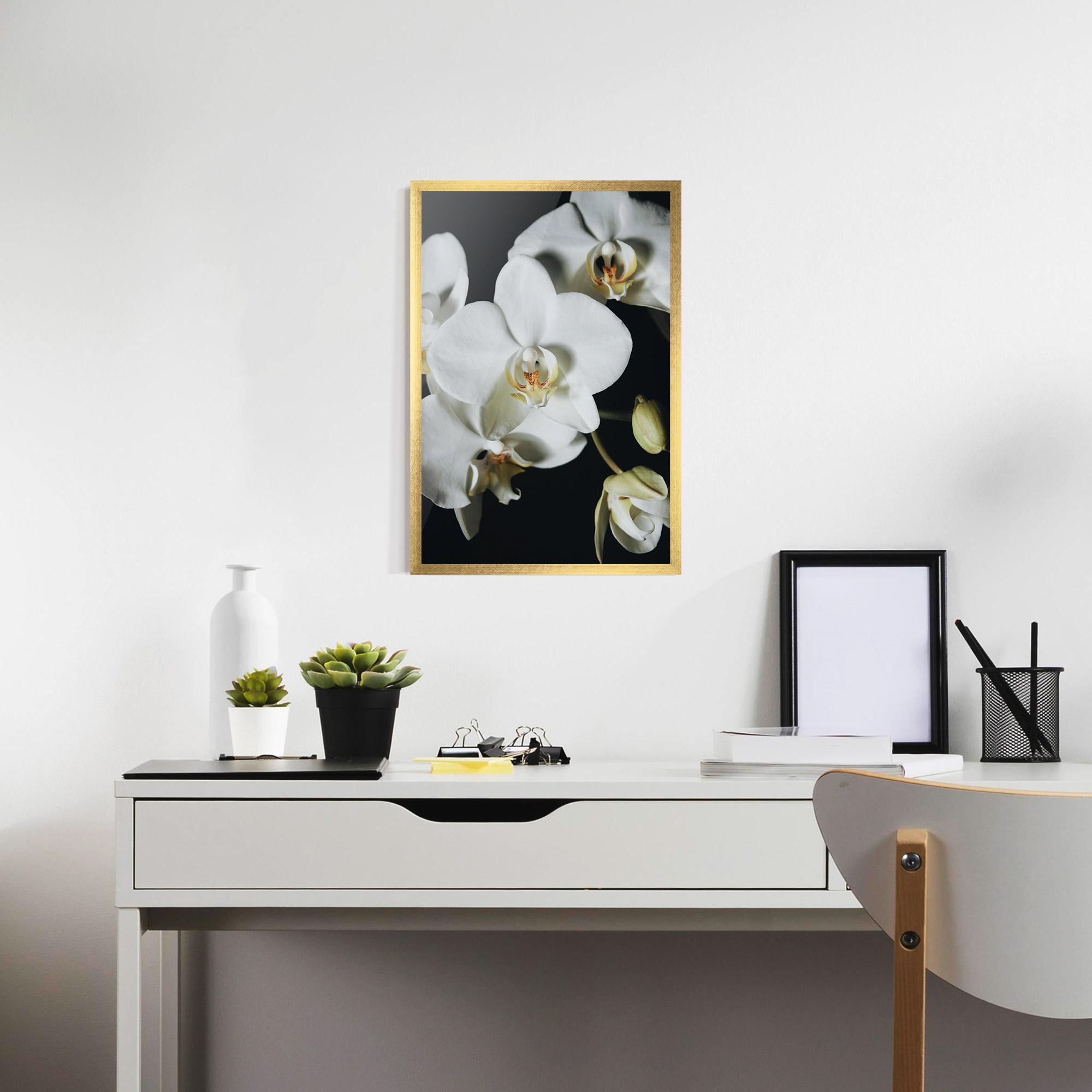Poster Înrămat White Orchid On Black mockup 7
