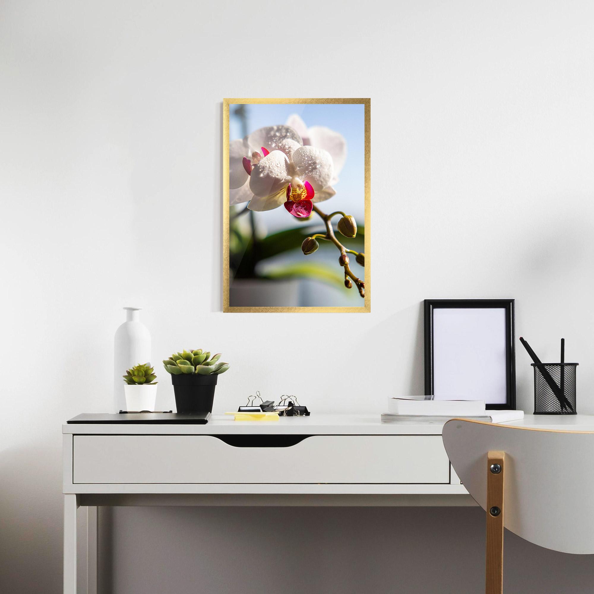 Poster Înrămat White Orchid With Water mockup 7