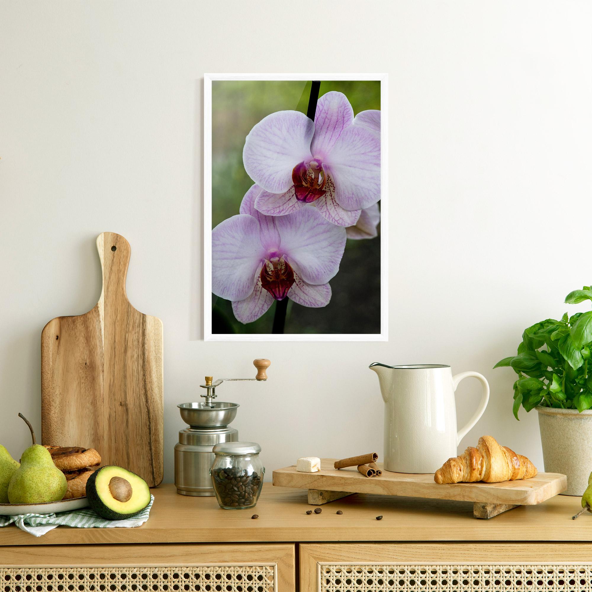 Poster Înrămat Garden Light Purple Orchid mockup 8