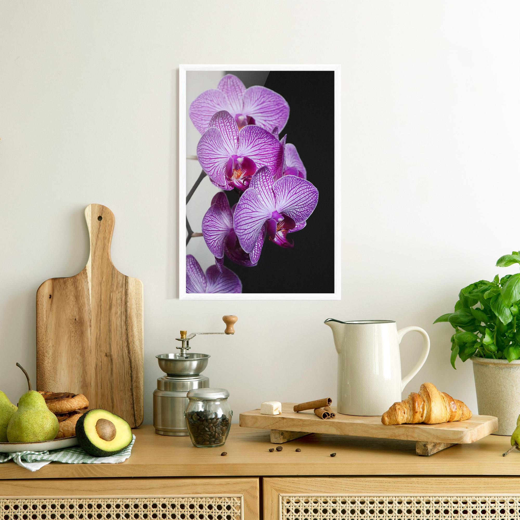 Poster Înrămat Purple Orchid On Black mockup 8