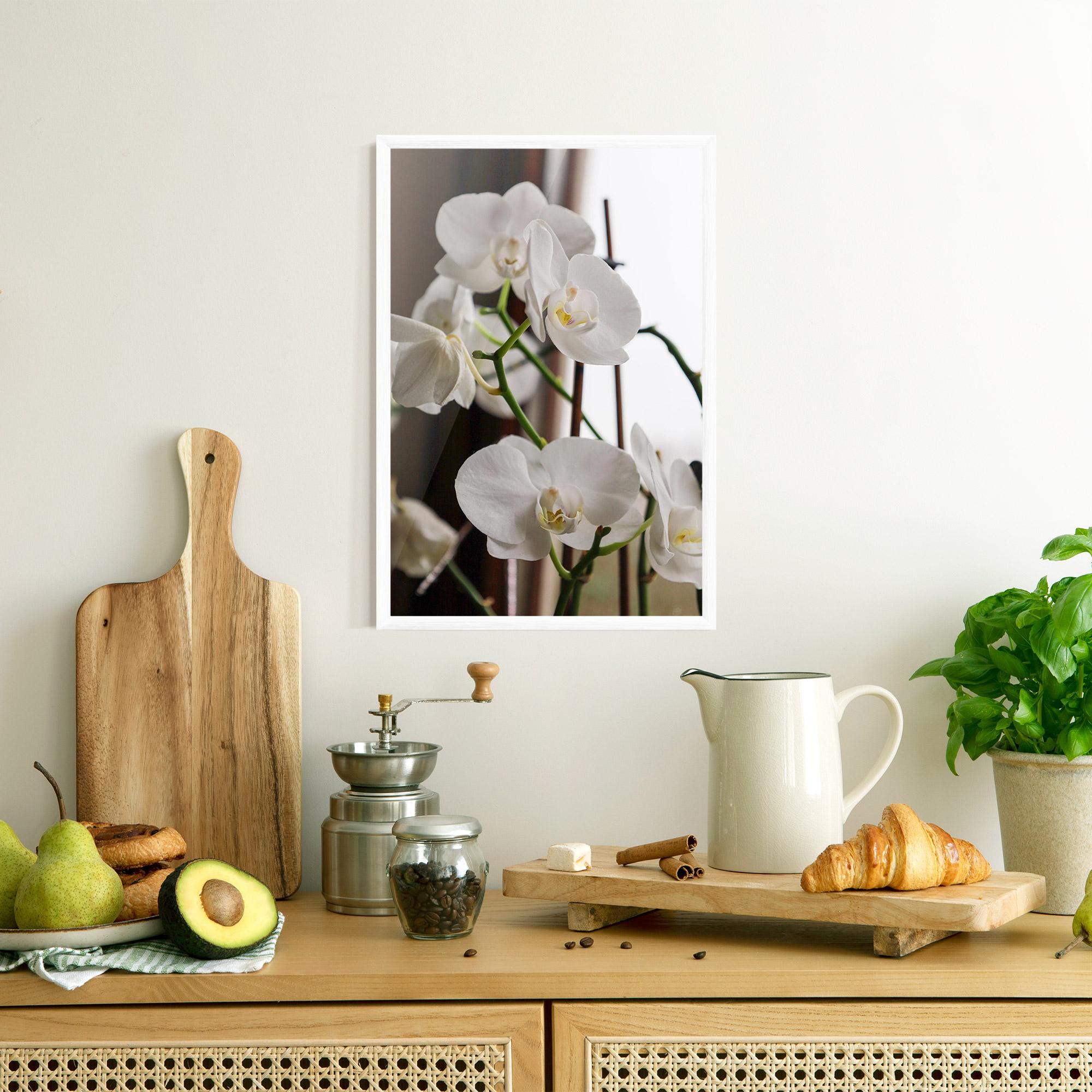 Poster Înrămat White Orchid Growing mockup 8