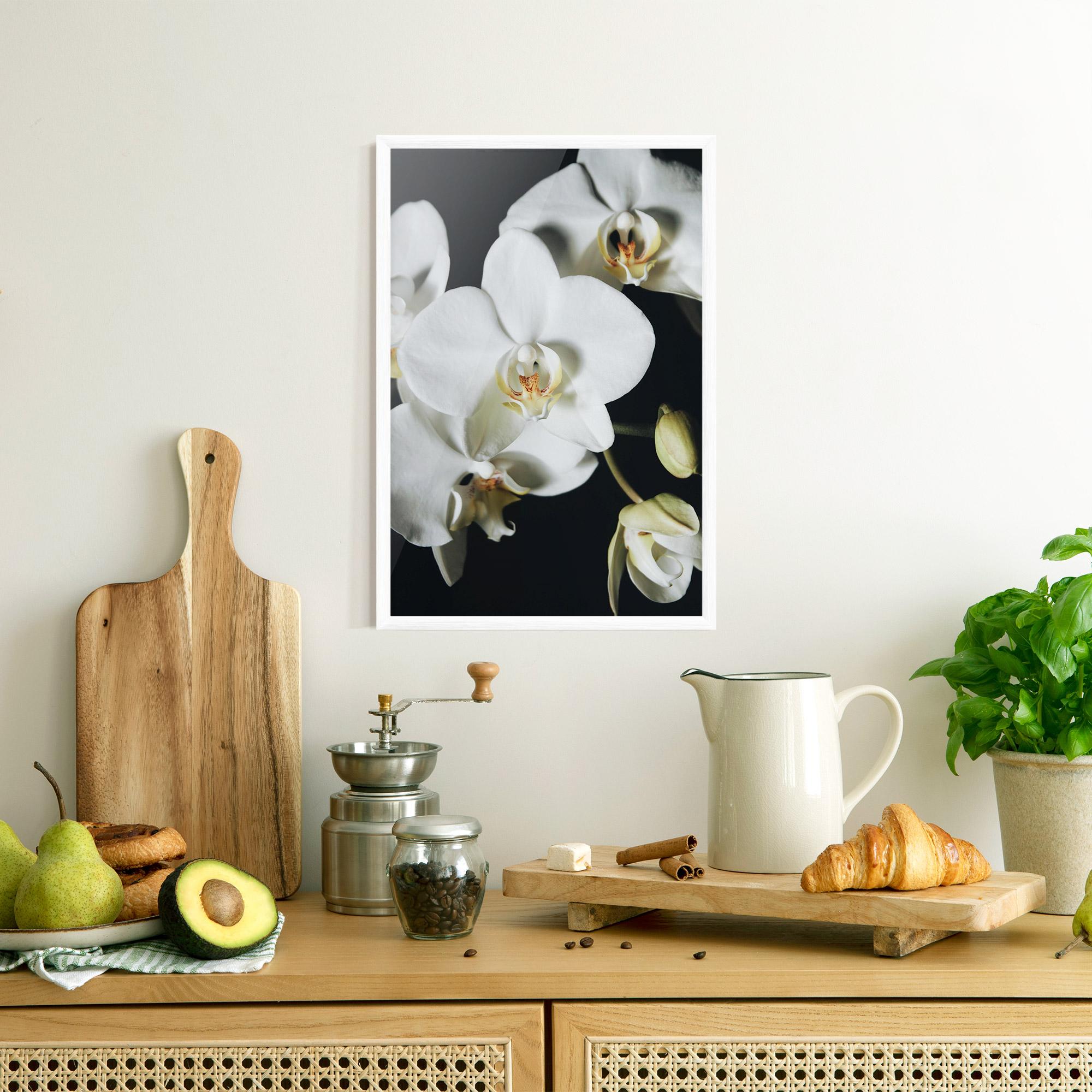 Poster Înrămat White Orchid On Black mockup 8